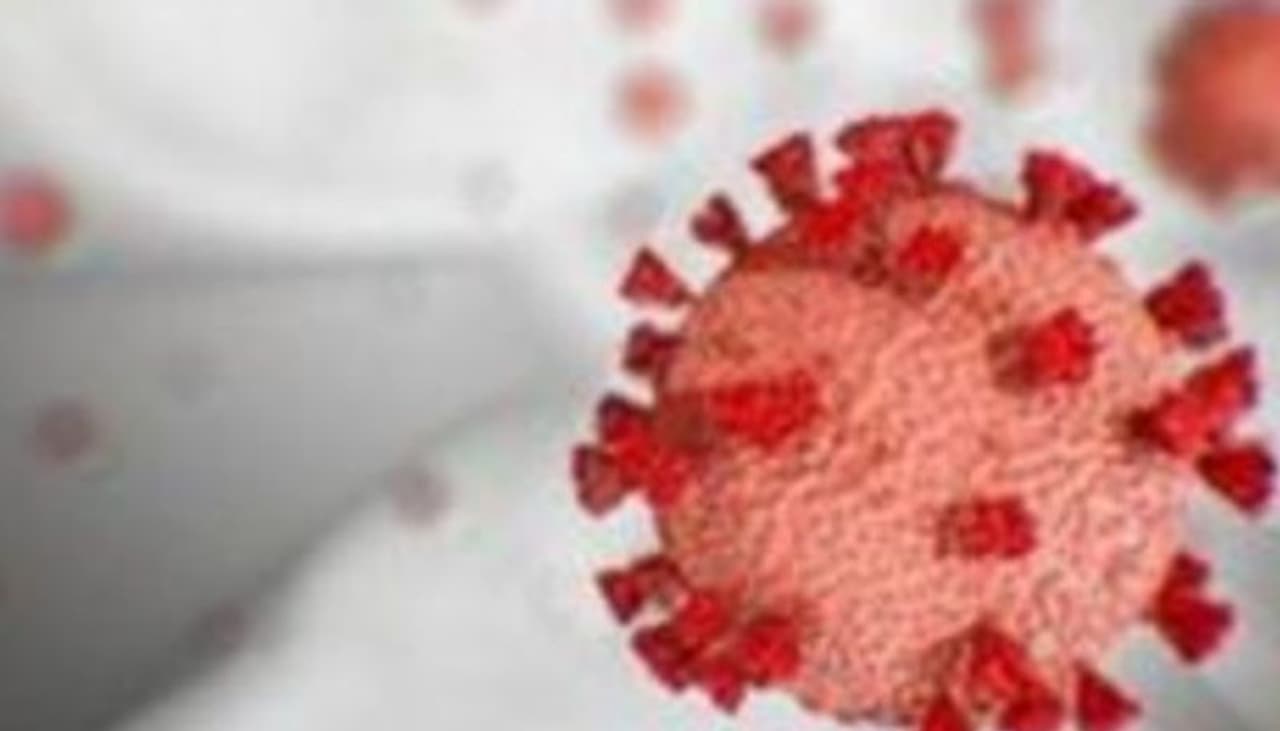 <p>According to the state health bulletin on Sunday, 46 deaths took the toll up to 8,723.<br /> </p> <p>According to the state health bulletin on Sunday, 46 deaths took the toll up to 8,723.<br /> </p>