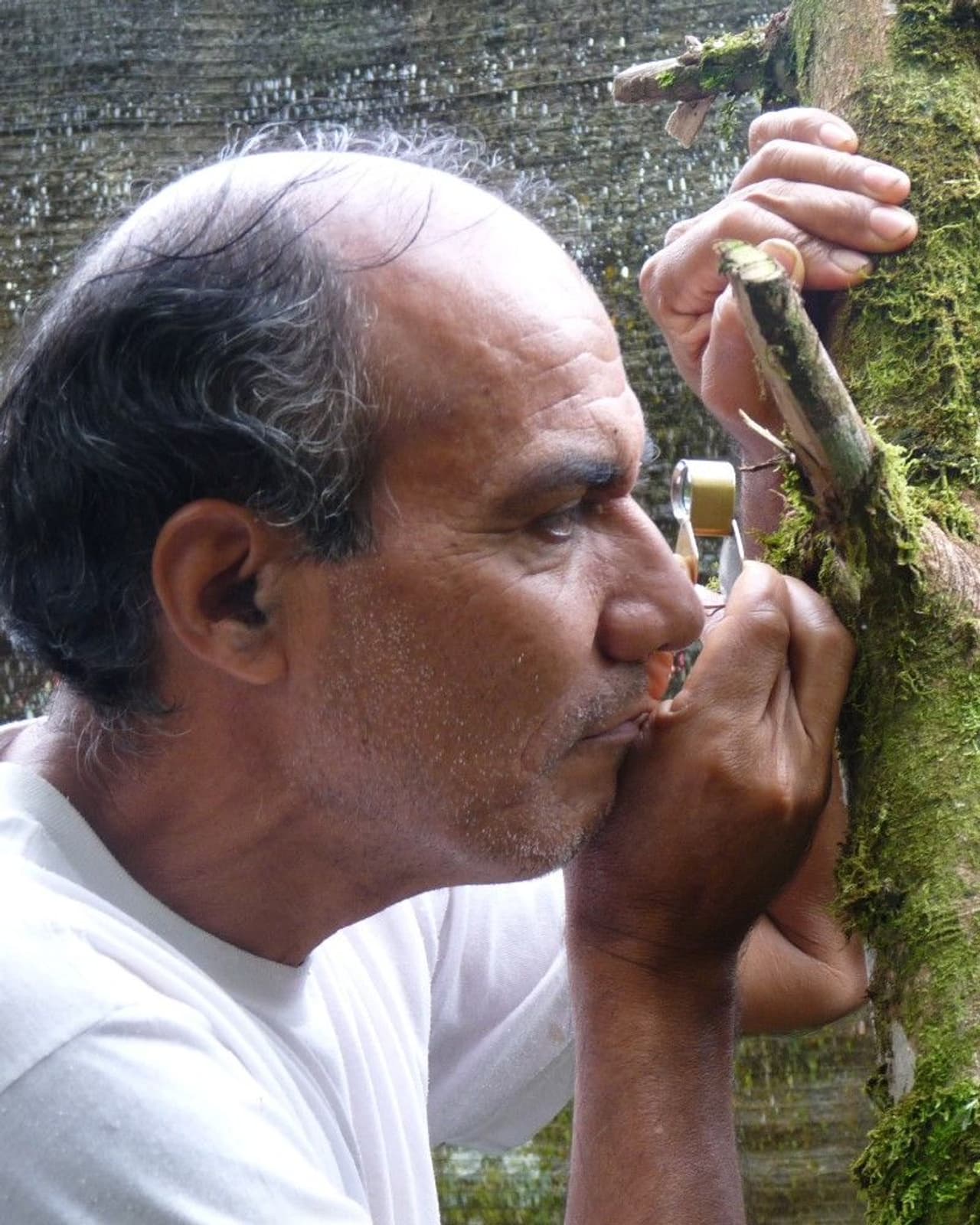 <p>ഇക്വഡോറില്‍ അക്കൗണ്ടന്റായിരുന്നു ഒമര്‍ ടെല്ലോ. മരങ്ങളൊന്നുമില്ലാതെ, നാട് തരിശാവുന്നത് കണ്ടാണ് അദ്ദേഹം അല്‍പ്പം ഭൂമി വാങ്ങാന്‍ ആലോചിക്കുന്നത്. അങ്ങനെ കുറച്ച് കൃഷി ഭൂമി വാങ്ങി.&nbsp;</p>