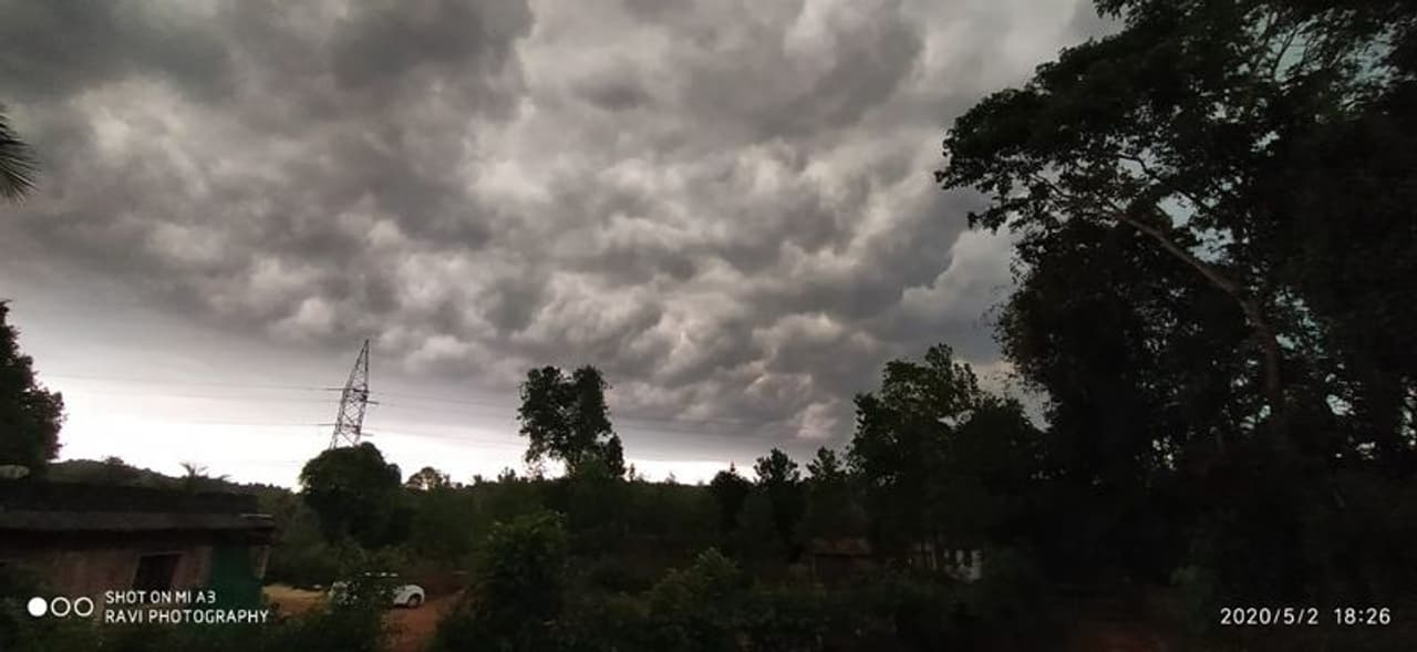 <p>ಉಡುಪಿ ಹಾಗೂ ಮಂಗಳೂರಿನ ಹಲವು ಪ್ರದೇಶಗಳಲ್ಲಿ ಶನಿವಾರ ಸಂಜೆ ಭಾರೀ ಮಳೆಯಾಗಿದ್ದು, ಮಳೆಗೂ ಮುನ್ನ ದಟ್ಟವಾಗಿ ಕವಿದಿರುವ ಕಾರ್ಮೋಡ</p> <p>ಉಡುಪಿ ಹಾಗೂ ಮಂಗಳೂರಿನ ಹಲವು ಪ್ರದೇಶಗಳಲ್ಲಿ ಶನಿವಾರ ಸಂಜೆ ಭಾರೀ ಮಳೆಯಾಗಿದ್ದು, ಮಳೆಗೂ ಮುನ್ನ ದಟ್ಟವಾಗಿ ಕವಿದಿರುವ ಕಾರ್ಮೋಡ</p>