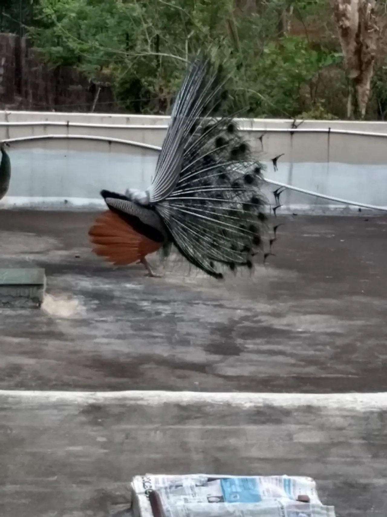 <p>ಕಾಸರಗೋಡು ನಗರಕ್ಕಿಂತ 5 6 ಕಿ.ಮೀ. ದೂರದ ವಿದ್ಯಾನಗರ ನೆಲಕ್ಕಳದಲ್ಲಿದೆ ರೇಡಿಯಾಲಜಿಸ್ಟ್ ಡಾ.ಉದಯಶಂಕರ ಭಟ್ ಮನೆ.</p> <p>ಕಾಸರಗೋಡು ನಗರಕ್ಕಿಂತ 5 6 ಕಿ.ಮೀ. ದೂರದ ವಿದ್ಯಾನಗರ ನೆಲಕ್ಕಳದಲ್ಲಿದೆ ರೇಡಿಯಾಲಜಿಸ್ಟ್ ಡಾ.ಉದಯಶಂಕರ ಭಟ್ ಮನೆ.</p>