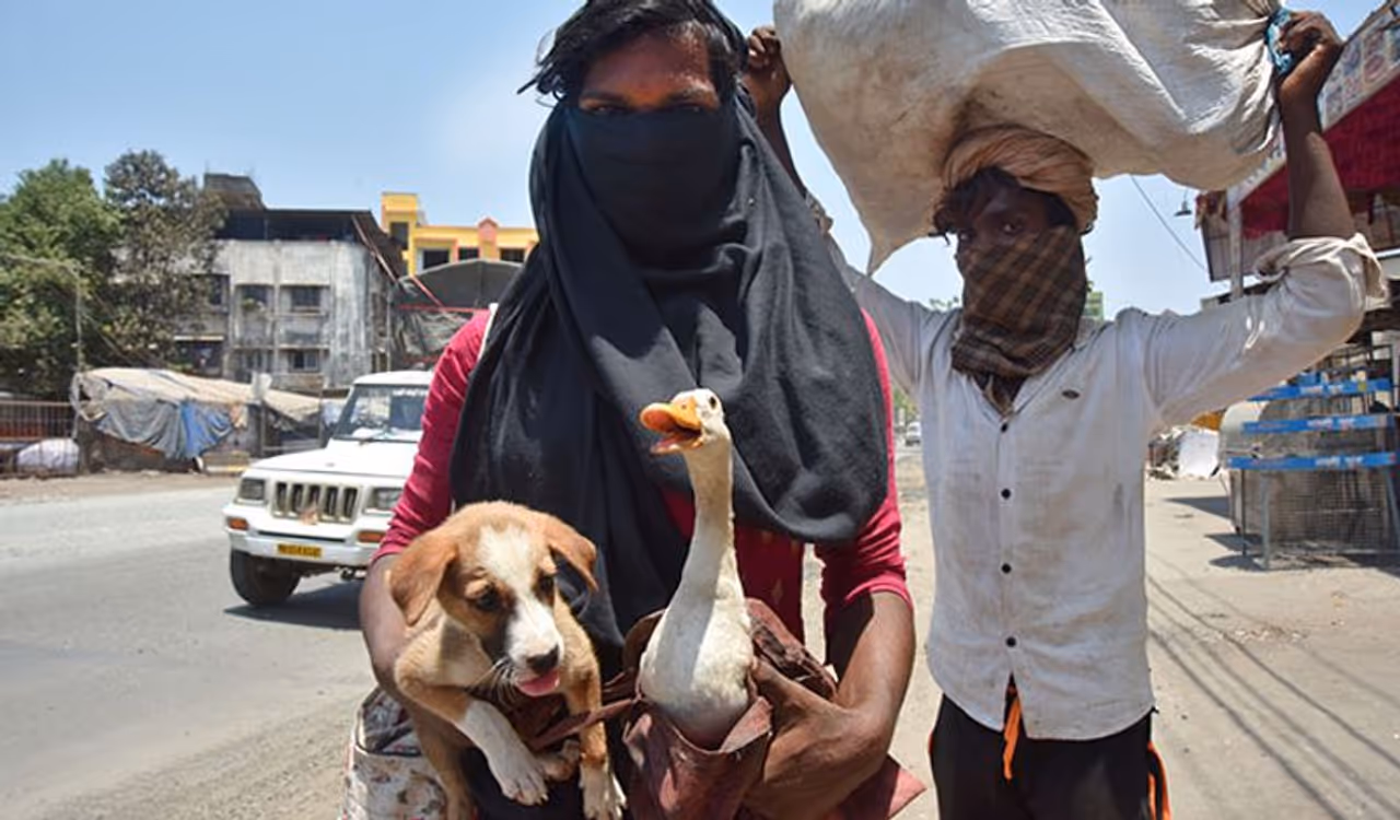 <p>కూతురును కాపాడుకొనేందుకు ఓ తల్లి 900 కి.మీ పాటు నడిచింది. కూతురును ఎత్తుకొని 900 కి.మీ దూరంలోని తన స్వంత గ్రామానికి చేరుకొంది. లాక్ డౌన్ పొడిగించడంతో ఇక చేసేది లేక ఆ తల్లి ఈ నిర్ణయం తీసుకొంది. ఈ ఘటన ఉత్తర్ ప్రదేశ్ రాష్ట్రంలో చోటు చేసుకొంది.</p> <p>కూతురును కాపాడుకొనేందుకు ఓ తల్లి 900 కి.మీ పాటు నడిచింది. కూతురును ఎత్తుకొని 900 కి.మీ దూరంలోని తన స్వంత గ్రామానికి చేరుకొంది. లాక్ డౌన్ పొడిగించడంతో ఇక చేసేది లేక ఆ తల్లి ఈ నిర్ణయం తీసుకొంది. ఈ ఘటన ఉత్తర్ ప్రదేశ్ రాష్ట్రంలో చోటు చేసుకొంది.</p>