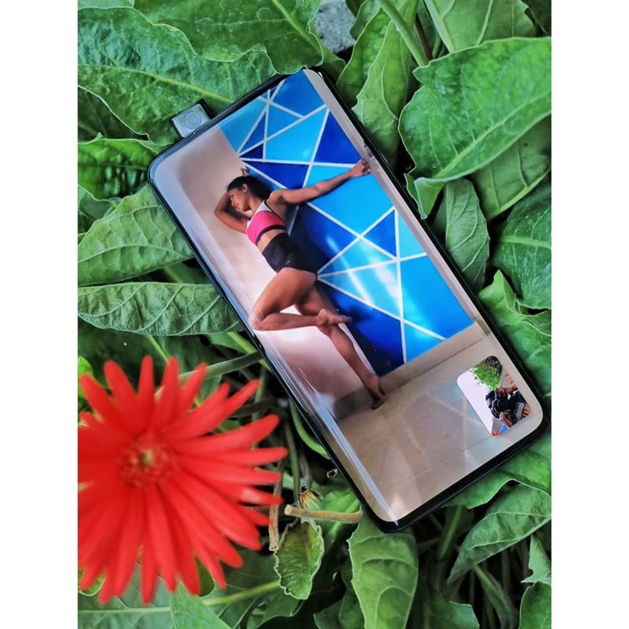 <p>Samyuktha Hegde</p> <p>Samyuktha Hegde</p>