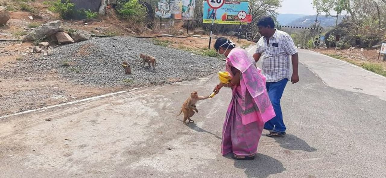 <p style="text align: justify;">లాక్డౌన్ సమయంలో మూగజీవాల బాధ వర్ణనాతీతం. మనిషి నాలుగు గోడలకే పరిమితం కావడంతో వీటిని పట్టించుకునే వారు కరువయ్యారు. ఈ క్రమంలో తెలంగాణ సంక్షేమశాఖ మంత్రి కొప్పుల ఈశ్వర్ సతీమణి, ఎల్ఎం కొప్పుల ఛారిటబుల్ ట్రస్ట్ ఛైర్పర్సన్ స్నేహలత మూగ జీవాల ఆకలి తీర్చారు. </p> <p style="text align: justify;">లాక్డౌన్ సమయంలో మూగజీవాల బాధ వర్ణనాతీతం. మనిషి నాలుగు గోడలకే పరిమితం కావడంతో వీటిని పట్టించుకునే వారు కరువయ్యారు. ఈ క్రమంలో తెలంగాణ సంక్షేమశాఖ మంత్రి కొప్పుల ఈశ్వర్ సతీమణి, ఎల్ఎం కొప్పుల ఛారిటబుల్ ట్రస్ట్ ఛైర్పర్సన్ స్నేహలత మూగ జీవాల ఆకలి తీర్చారు. </p>