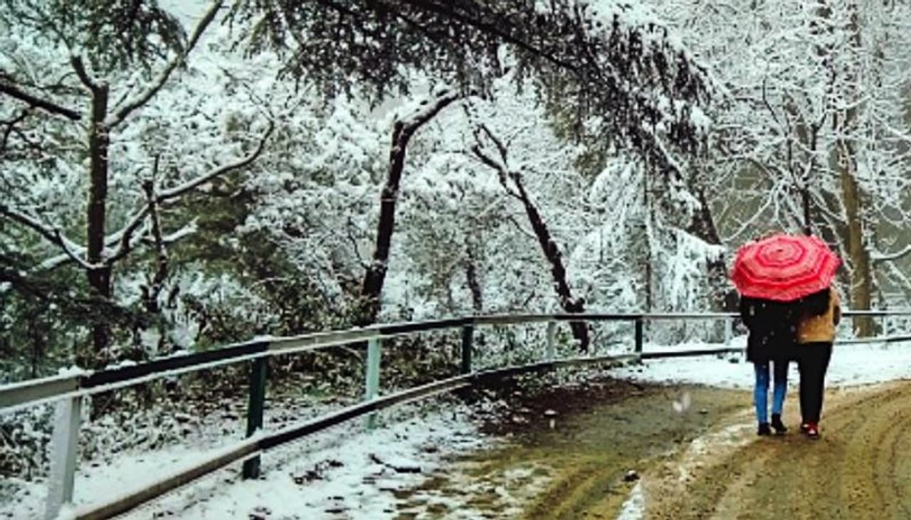 সিমলা (Shimla Travel News) সিমলা (Shimla Travel News)