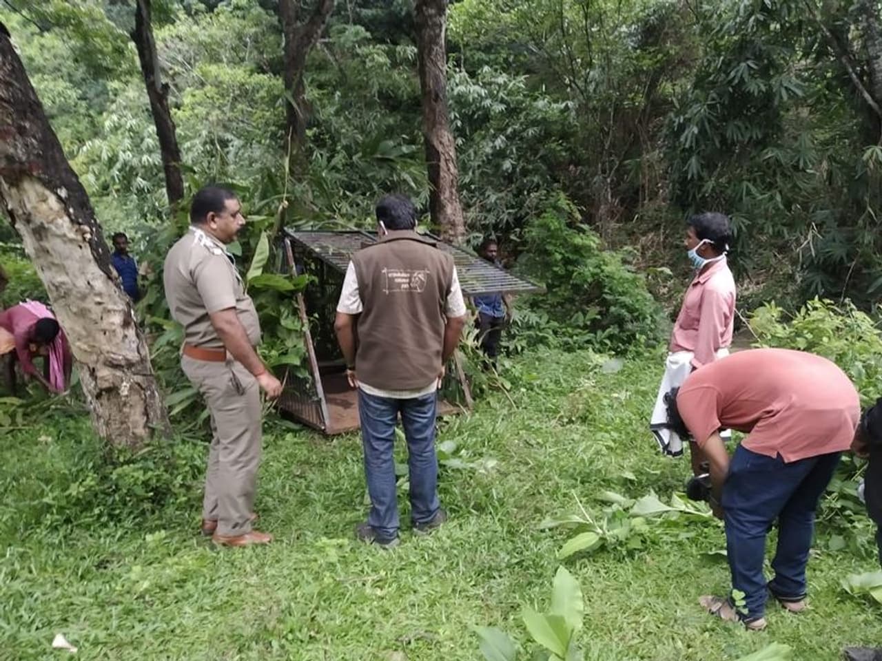 <p>രണ്ട് വീടുകൾക്ക് സമീപം കടുവ എത്തിയതായി നാട്ടുകാർ പറഞ്ഞു. ഇര തേടാൻ ബുദ്ധിമുട്ടുള്ള വിധം കടുവക്ക് ആരോഗ്യ പ്രശ്നങ്ങളുണ്ടോ എന്നറിയാൻ ക്യാമറ സ്ഥാപിച്ച് നിരീക്ഷിക്കുമെന്ന് വനംവകുപ്പ് അറിയിച്ചു.</p>