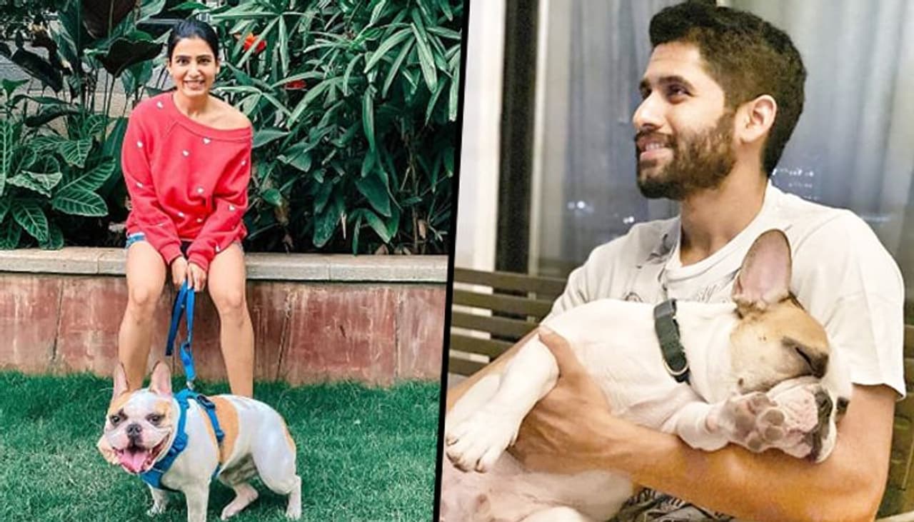 <p>The couple shared a Instagram pic with their pet 'Hash' recently.</p>