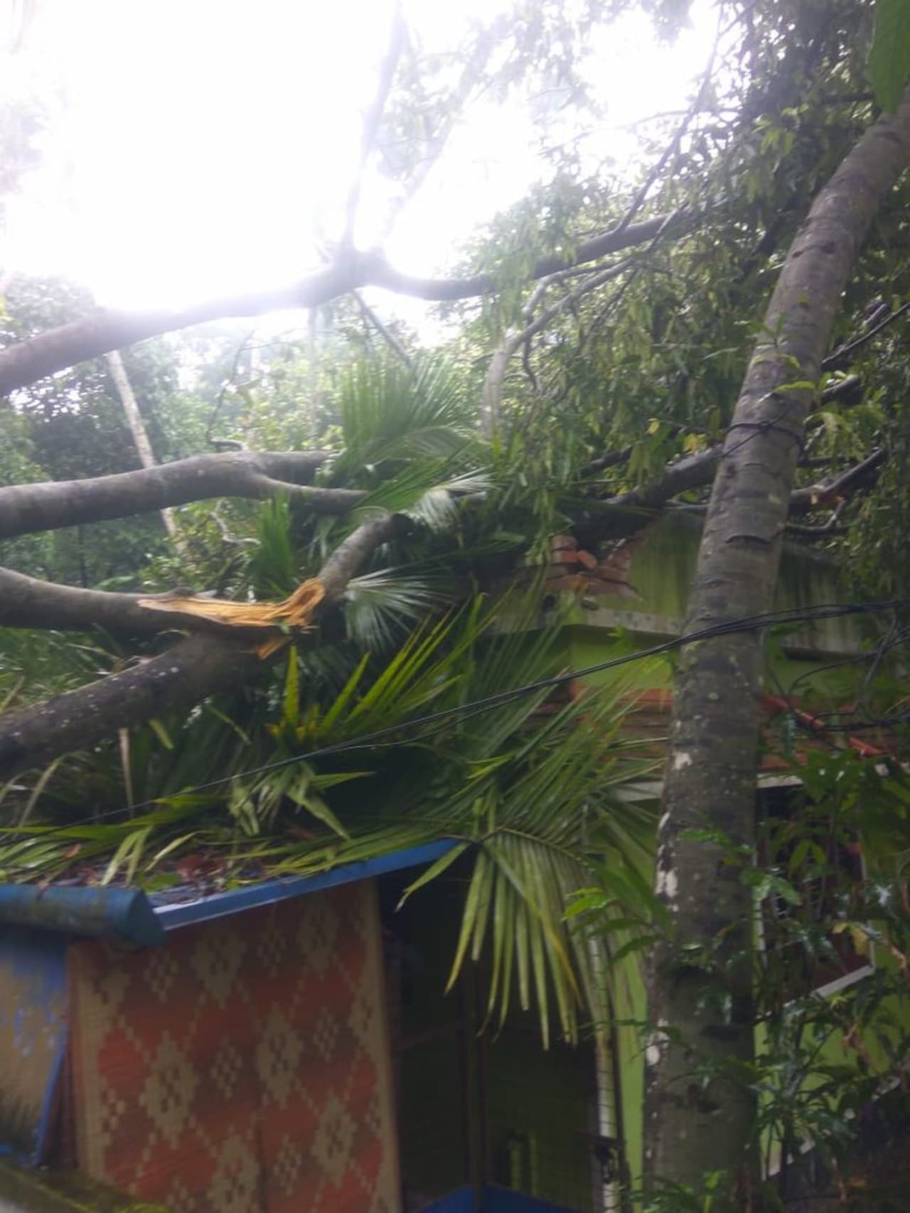 <p>വൈക്കത്ത് നിരവധി വീടുകള്‍ തകര്‍ന്നു. നിരവധി വീടുകൾക്ക് കേടുപാടുണ്ടായി. പലയിടത്തും മരങ്ങൾ കടപുഴകി വീണു.&nbsp;</p>