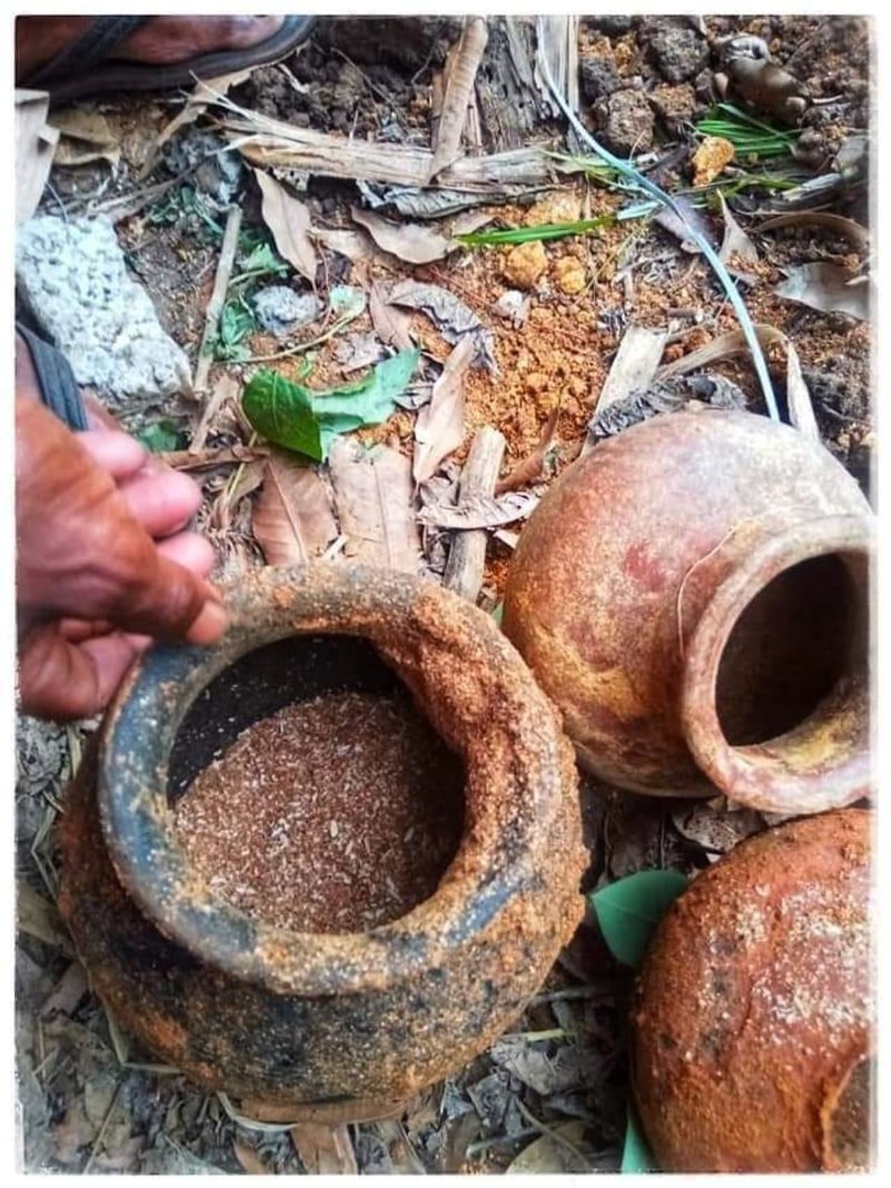 <p>ഇടുക്കി , ചെല്ലാർ കോവിൽ മയിലാടുംപാറയിൽ നിന്ന് നന്നങ്ങാടികളുടെ വിപുലശേഖരമാണ് കണ്ടെത്തിയത്. </p> <p>ഇടുക്കി , ചെല്ലാർ കോവിൽ മയിലാടുംപാറയിൽ നിന്ന് നന്നങ്ങാടികളുടെ വിപുലശേഖരമാണ് കണ്ടെത്തിയത്. </p>