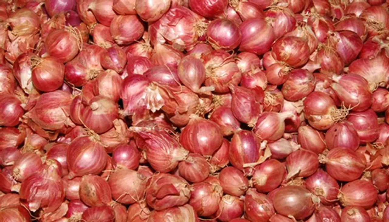 small onion benefits in winter in tamil