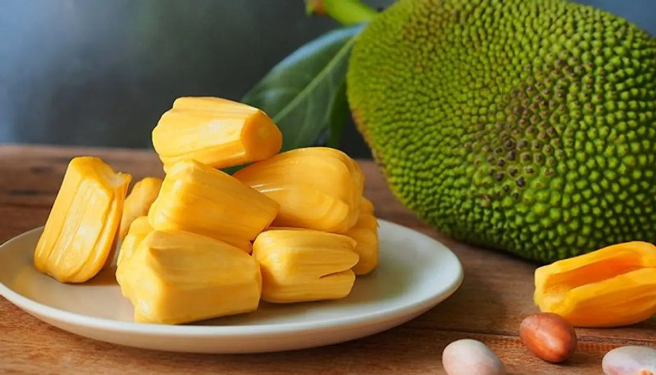 <p>ಲೆಕ್ಕವಿಲ್ಲದಷ್ಟು ಪ್ರೊಟೀನ್ ಅಂಶ ಹೊಂದಿರುವ ಹಲಸಿನ ಹಣ್ಣಿನ ಬಗ್ಗೆ ಜನರಲ್ಲಿ ಅರಿವು ಮೂಡಿಸಲು ಜುಲೈ 4ರಂದು Jackfruit Day ಎಂದು ಆಚರಿಸಲಾಗುತ್ತದೆ.</p> <p>ಲೆಕ್ಕವಿಲ್ಲದಷ್ಟು ಪ್ರೊಟೀನ್ ಅಂಶ ಹೊಂದಿರುವ ಹಲಸಿನ ಹಣ್ಣಿನ ಬಗ್ಗೆ ಜನರಲ್ಲಿ ಅರಿವು ಮೂಡಿಸಲು ಜುಲೈ 4ರಂದು Jackfruit Day ಎಂದು ಆಚರಿಸಲಾಗುತ್ತದೆ.</p>