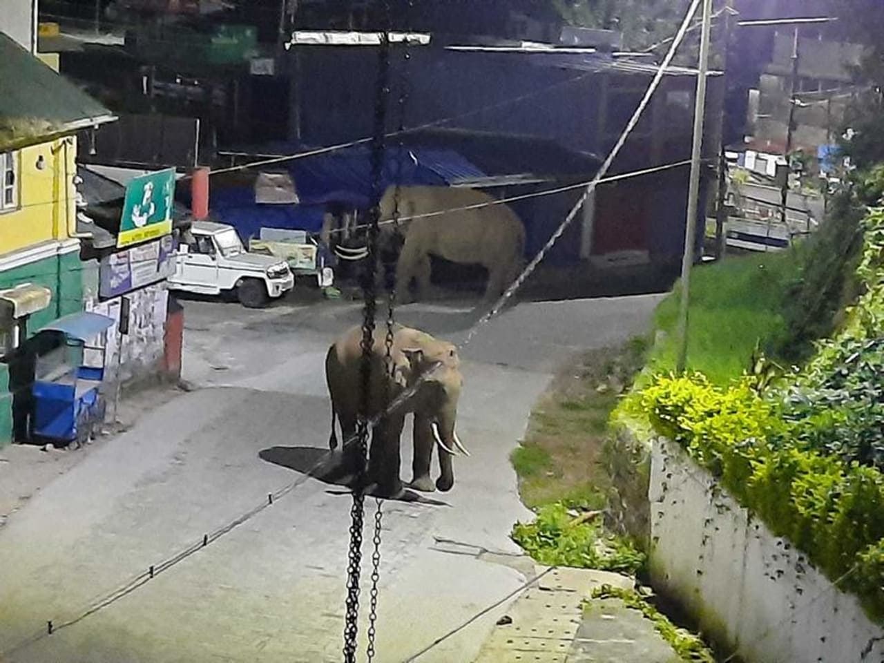 <p>മൂന്നാർ നല്ലതണ്ണി പാലത്തിന് സമീപമുള്ള കടയിലെത്തിയ കാട്ടാനകള് കടകളെ മറച്ച് വച്ചിരുന്ന ടാർപോളിൻ ഷീറ്റ് കൊമ്പുകൾ കൊണ്ട് കുത്തിതുറന്നാണ് അകത്തുള്ള പച്ചക്കറികൾ കൈയ്യടക്കുന്നത്. </p> <p>മൂന്നാർ നല്ലതണ്ണി പാലത്തിന് സമീപമുള്ള കടയിലെത്തിയ കാട്ടാനകള് കടകളെ മറച്ച് വച്ചിരുന്ന ടാർപോളിൻ ഷീറ്റ് കൊമ്പുകൾ കൊണ്ട് കുത്തിതുറന്നാണ് അകത്തുള്ള പച്ചക്കറികൾ കൈയ്യടക്കുന്നത്. </p>