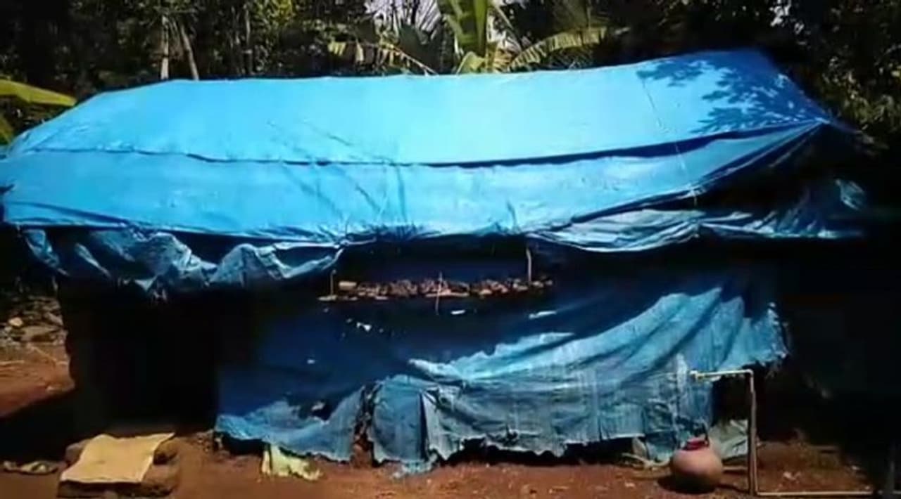 <p>ಸವಣೂರು ಗ್ರಾಮ ಪಂಚಾಯತ್ನ ಪಾಲ್ತಾಡಿ ಗ್ರಾಮದ ಅಂಕತ್ತಡ್ಕದ ಮಾಣಿ ಎಂಬವರ ಮಗಳು ಸುಂದರಿ ಅವರು ತನ್ನ ಮಕ್ಕಳಾದ ಆಶಾ,ಧನ್ವಿ,ಸನತ್ ಜತೆ ಸಣ್ಣ ಟರ್ಪಾಲ್ ಕಟ್ಟಿದ ಜೋಪಡಿಯಲ್ಲಿ ವಾಸವಾಗಿದ್ದಾರೆ.</p> <p>ಸವಣೂರು ಗ್ರಾಮ ಪಂಚಾಯತ್ನ ಪಾಲ್ತಾಡಿ ಗ್ರಾಮದ ಅಂಕತ್ತಡ್ಕದ ಮಾಣಿ ಎಂಬವರ ಮಗಳು ಸುಂದರಿ ಅವರು ತನ್ನ ಮಕ್ಕಳಾದ ಆಶಾ,ಧನ್ವಿ,ಸನತ್ ಜತೆ ಸಣ್ಣ ಟರ್ಪಾಲ್ ಕಟ್ಟಿದ ಜೋಪಡಿಯಲ್ಲಿ ವಾಸವಾಗಿದ್ದಾರೆ.</p>