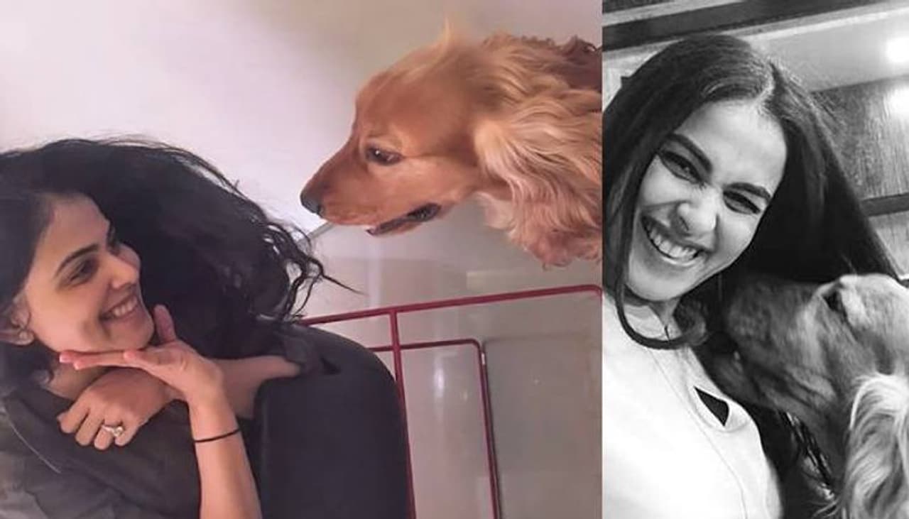 <p>ഷൂട്ടിംങ് സെറ്റില് പോലും വളർത്തുനായകളെയും കൊണ്ടാണ് പല നായികമാരും വരുന്നത്. നടിമാരുടെ വളർത്തുനായകളെ വരെ ഇന്ന് ആളുകള്ക്ക് അറിയാം. അവരുടെ പേരുകള് അറിയാം. എന്തിന് ഈ ഓമനമൃഗങ്ങള്ക്ക് വരെ ഫാന്സുണ്ട്. </p> <p>ഷൂട്ടിംങ് സെറ്റില് പോലും വളർത്തുനായകളെയും കൊണ്ടാണ് പല നായികമാരും വരുന്നത്. നടിമാരുടെ വളർത്തുനായകളെ വരെ ഇന്ന് ആളുകള്ക്ക് അറിയാം. അവരുടെ പേരുകള് അറിയാം. എന്തിന് ഈ ഓമനമൃഗങ്ങള്ക്ക് വരെ ഫാന്സുണ്ട്. </p>