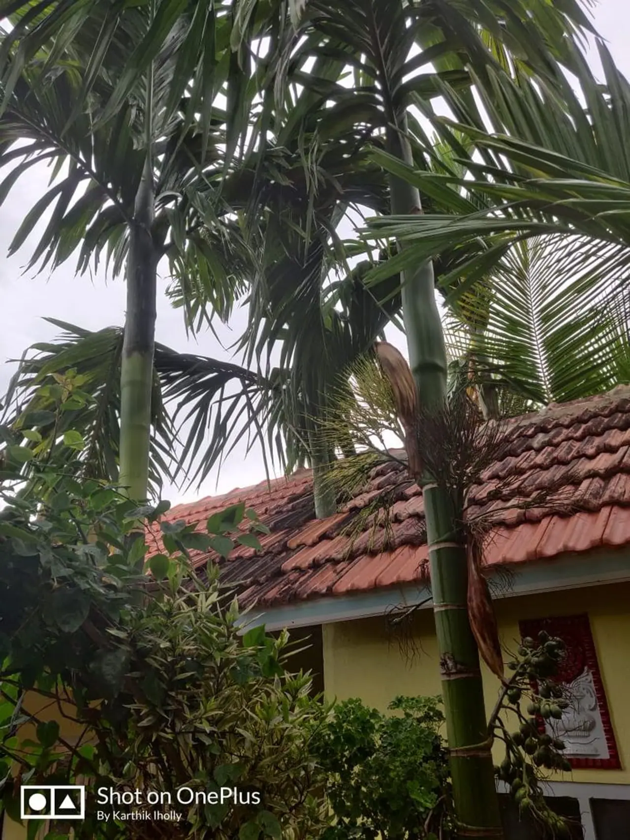 <p>ಸಾಲಿಗ್ರಾಮದ ತೋಡುಕಟ್ಟುವಿನಲ್ಲಿ ಸ್ವರ್ಗದಂತೆ ಕಾಣುವ ಈ ಸ್ಥಳಕ್ಕೆ ಬೃಂದಾವನ ಎಂಬ ನಾಮಫಲಕವಿದೆ. ಇತ್ತೀಚೆಗಷ್ಟೇ ಸೇವಾ ನಿವೃತ್ತಿ ಪಡೆದ ಬಿಸಿಎಂ ಇಲಾಖೆಯ ಕುಂದಾಪುರ ತಾಲೂಕು ವಿಸ್ತರಣಾಧಿಕಾರಿ ಬಿ.ಎಸ್. ಮಾದರ ಅವರ ಪರಿಸರಪ್ರೇಮ ಹಾಗೂ ಪಕ್ಷಿಪ್ರೇಮದ ಪ್ರತೀಕವಿದು.</p> <p>ಸಾಲಿಗ್ರಾಮದ ತೋಡುಕಟ್ಟುವಿನಲ್ಲಿ ಸ್ವರ್ಗದಂತೆ ಕಾಣುವ ಈ ಸ್ಥಳಕ್ಕೆ ಬೃಂದಾವನ ಎಂಬ ನಾಮಫಲಕವಿದೆ. ಇತ್ತೀಚೆಗಷ್ಟೇ ಸೇವಾ ನಿವೃತ್ತಿ ಪಡೆದ ಬಿಸಿಎಂ ಇಲಾಖೆಯ ಕುಂದಾಪುರ ತಾಲೂಕು ವಿಸ್ತರಣಾಧಿಕಾರಿ ಬಿ.ಎಸ್. ಮಾದರ ಅವರ ಪರಿಸರಪ್ರೇಮ ಹಾಗೂ ಪಕ್ಷಿಪ್ರೇಮದ ಪ್ರತೀಕವಿದು.</p>