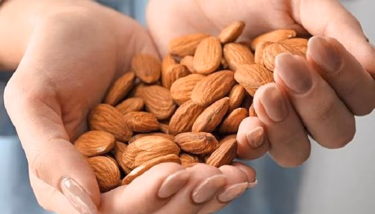 <p><br />Rich in protein: The high protein content in almonds help in the healthy development of muscle mass in a growing baby. This also induces strength in the mother to cope with delivery pain. It also regulates a healthy birth weight of the baby.</p>