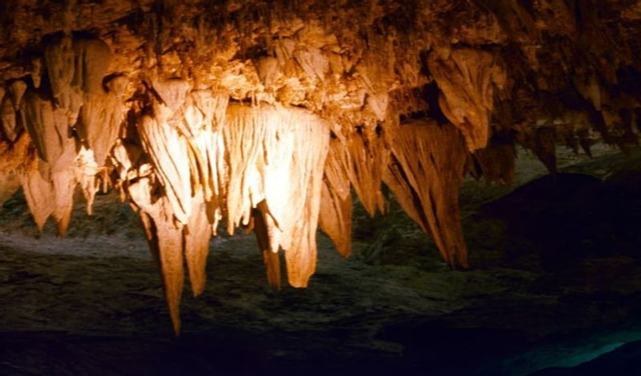 <p>ಈ ಮತ್ತೊಂದು ಲೋಕ ಅಮೆರಿಕದ ನ್ಯೂ ಮೆಕ್ಸಿಕೋದ ಕಕರ್ಲ್ಸ್ಬಾದ್ ಕವರ್ನ್ಸ್ ನ್ಯಾಷನಲ್ ಪಾರ್ಕ್ನಲ್ಲಿ ಕಂಡು ಬಂದಿದೆ.</p> <p>ಈ ಮತ್ತೊಂದು ಲೋಕ ಅಮೆರಿಕದ ನ್ಯೂ ಮೆಕ್ಸಿಕೋದ ಕಕರ್ಲ್ಸ್ಬಾದ್ ಕವರ್ನ್ಸ್ ನ್ಯಾಷನಲ್ ಪಾರ್ಕ್ನಲ್ಲಿ ಕಂಡು ಬಂದಿದೆ.</p>