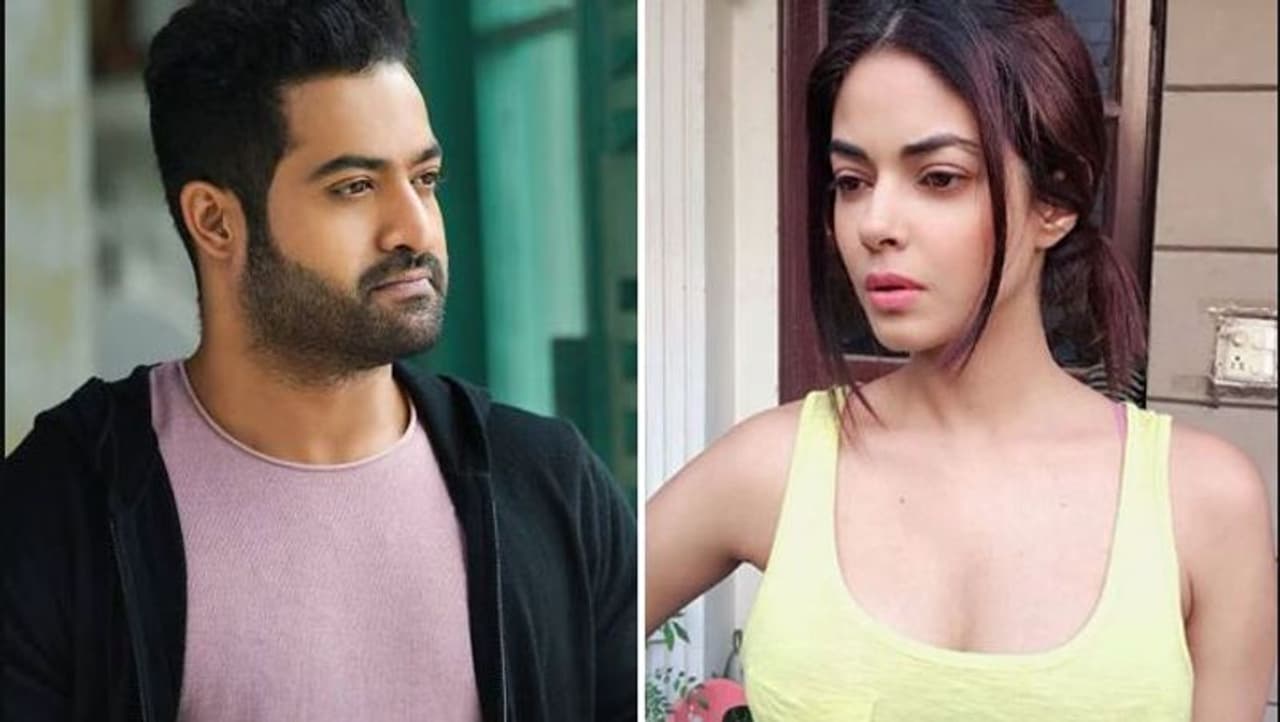 <p style="text align: justify;">గతంలో ఓ ఇంటర్వ్యూలో మాట్లాడుతూ ఎన్టీఆర్ ఎవరో నాకు తెలియదన్న మీరా చోప్రా అభిమానుల ఆగ్రహానికి గురైంది. సోషల్ మీడియా వేదిక మీరా చోప్రాను విపరీతంగా ట్రోల్ చేశారు. అయితే ఆ ట్రోల్స్ కాస్త శృతిమించటంతో ఆమె పోలీసులను ఆశ్రయించాల్సి వచ్చింది.</p> <p style="text align: justify;">గతంలో ఓ ఇంటర్వ్యూలో మాట్లాడుతూ ఎన్టీఆర్ ఎవరో నాకు తెలియదన్న మీరా చోప్రా అభిమానుల ఆగ్రహానికి గురైంది. సోషల్ మీడియా వేదిక మీరా చోప్రాను విపరీతంగా ట్రోల్ చేశారు. అయితే ఆ ట్రోల్స్ కాస్త శృతిమించటంతో ఆమె పోలీసులను ఆశ్రయించాల్సి వచ్చింది.</p>