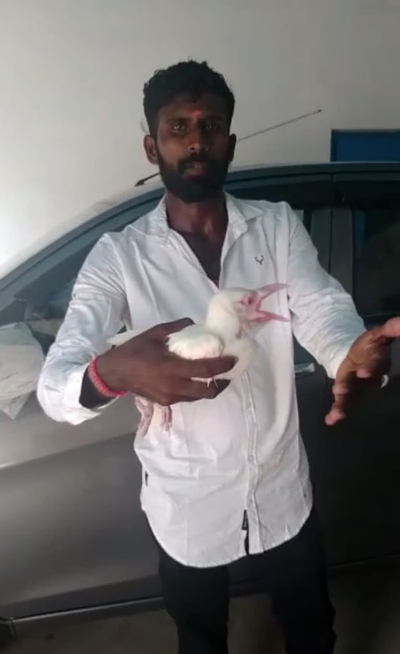 <p>ಕೊಪ್ಪಳ ಜಿಲ್ಲೆ ಕಾರಟಗಿ ತಾಲೂಕಿನ ಬಸವಣ್ಣ ಕ್ಯಾಂಪ್ನ ಜಮೀನಿನಲ್ಲಿ ಕಂಡ ಅಪರೂಪದ ಬಿಳಿ ಕಾಗೆ ಮರಿ</p> <p>ಕೊಪ್ಪಳ ಜಿಲ್ಲೆ ಕಾರಟಗಿ ತಾಲೂಕಿನ ಬಸವಣ್ಣ ಕ್ಯಾಂಪ್ನ ಜಮೀನಿನಲ್ಲಿ ಕಂಡ ಅಪರೂಪದ ಬಿಳಿ ಕಾಗೆ ಮರಿ</p>