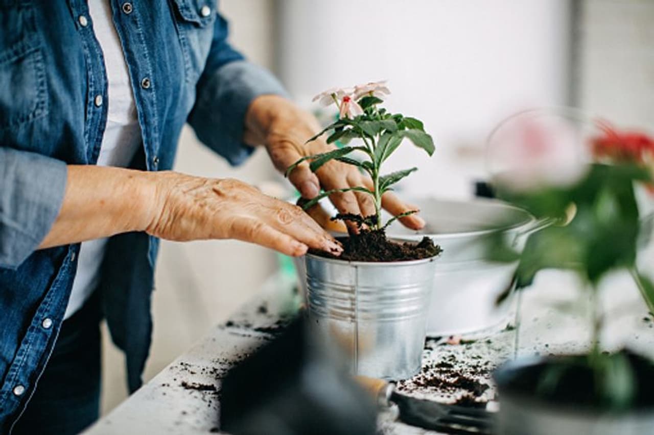 <p>ಇದಕ್ಕೆ ಉತ್ತರವನ್ನು ನಿಮ್ಮ ಸ್ವಂತ ಅಡುಗೆಮನೆಯಲ್ಲಿ ಮಾಡಬಹುದು. ಸ್ಕ್ರ್ಯಾಪ್ಗಳು ಮತ್ತು ಇತರ ಅಡಿಗೆ ತ್ಯಾಜ್ಯಗಳು ಸಾಮಾನ್ಯವಾಗಿ ಖನಿಜಗಳು ಮತ್ತು ಇತರ ಘಟಕಗಳನ್ನು ಒಳಗೊಂಡಿರುತ್ತವೆ, ಅದು ನಿಮ್ಮ ಸಸ್ಯಗಳನ್ನು ಪೋಷಿಸುವಲ್ಲಿ ಬಹಳ ಸಹಕಾರಿ. ನೀವು ಮನೆಯಲ್ಲಿ ಕಾಣುವ ಐದು ರಸಗೊಬ್ಬರಗಳ ನೋಟ ಇಲ್ಲಿದೆ</p>