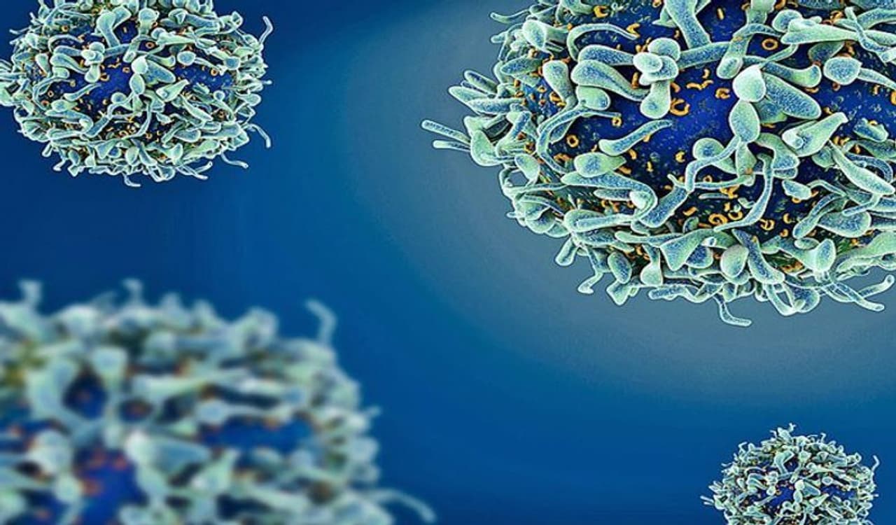 <p>ಹೌದು ಕ್ಯಾನ್ಸರ್‌ ರೋಗಿಗಳು ನಿಟ್ಟುಸಿರು ಬಿಡುವಂತಾಗಿದೆ. ಇನ್ಮುಂದೆ ರೋಗಿಗಳು ತಿಂಗಳಾನುಗಟ್ಟಲೇ ಆಸ್ಪತ್ರೆಗಳಿಗೆ ಅಲೆಯಬೇಕಂತಿಲ್ಲ. ಹೊಸ ವಾದದ ಅನುಸಾರ ಕ್ಯಾನ್ಸರ್‌ಗೆ ಔಷಧಿ ಕಂಡು ಹಿಡಿಯಲಾಗಿದ್ದು, ಕೇವಲ ಐದು ದಿನದೊಳಗೆ ಕ್ಯಾನ್ಸರ್ ಗುಣಪಡಿಸಬಹುದೆ.</p>