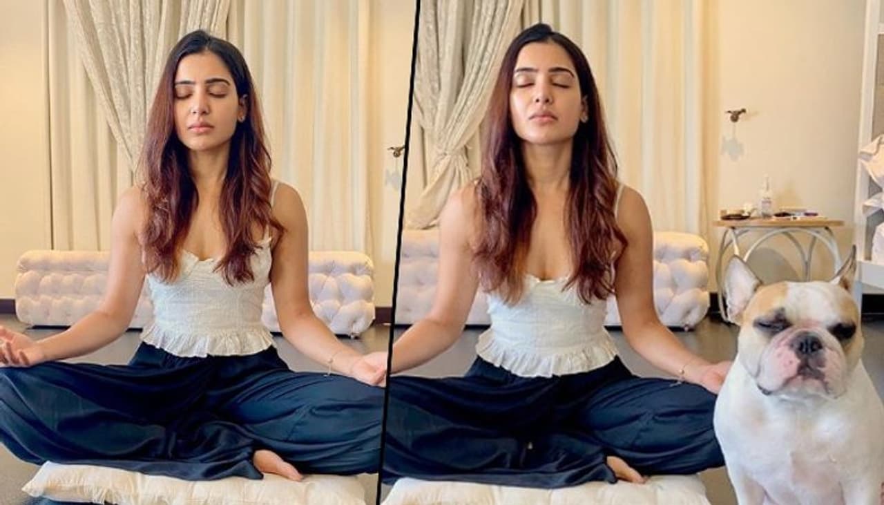 <p>During the coronavirus (COVID 19) lockdown, actress Samantha Akkineni is too busy cooking, gardening, and cleaning the house, and now she has started a new spiritual journey by doing meditation.<br /> </p> <p>During the coronavirus (COVID 19) lockdown, actress Samantha Akkineni is too busy cooking, gardening, and cleaning the house, and now she has started a new spiritual journey by doing meditation.<br /> </p>
