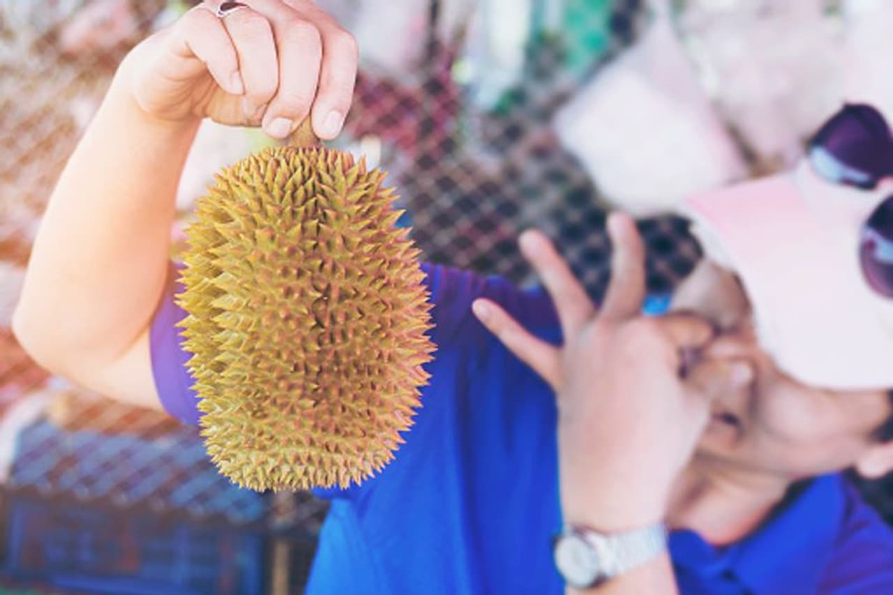 <p>ಹೌದು ವಿಶ್ವದ ಅತ್ಯಂತ ದುರ್ಗಂಧದ, ವಾಕರಿಕೆ ತರುವ ಆದರೆ ಅತ್ಯಂತ ದುಬಾರೀ ಹಣ್ಣು ಎಂದೇ ಖ್ಯಾತವಾಗಿರುವ ಡುರೇನ್ ಇಂತಹುದ್ದೊಂದು ಅವಾಂತರ ಸೃಷ್ಟಿಸಿದೆ. </p> <p>ಹೌದು ವಿಶ್ವದ ಅತ್ಯಂತ ದುರ್ಗಂಧದ, ವಾಕರಿಕೆ ತರುವ ಆದರೆ ಅತ್ಯಂತ ದುಬಾರೀ ಹಣ್ಣು ಎಂದೇ ಖ್ಯಾತವಾಗಿರುವ ಡುರೇನ್ ಇಂತಹುದ್ದೊಂದು ಅವಾಂತರ ಸೃಷ್ಟಿಸಿದೆ. </p>