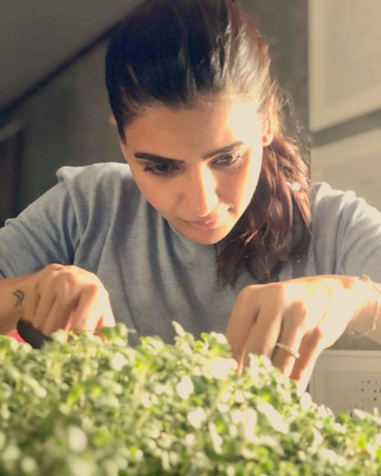 <p>நடிகை சமந்தா இந்த கொரோனா ஊரடங்கை பயனுள்ளதாக மாற்றி வருகிறார். தன்னுடைய வீட்டிலேயே, சிறிய கார்டன் அமைத்து அதில் கீரை வகைகள், மட்டும் முட்டை கோஸ் போன்றவற்றை பயிரிட்டு வருகிறார்.</p> <p>நடிகை சமந்தா இந்த கொரோனா ஊரடங்கை பயனுள்ளதாக மாற்றி வருகிறார். தன்னுடைய வீட்டிலேயே, சிறிய கார்டன் அமைத்து அதில் கீரை வகைகள், மட்டும் முட்டை கோஸ் போன்றவற்றை பயிரிட்டு வருகிறார்.</p>