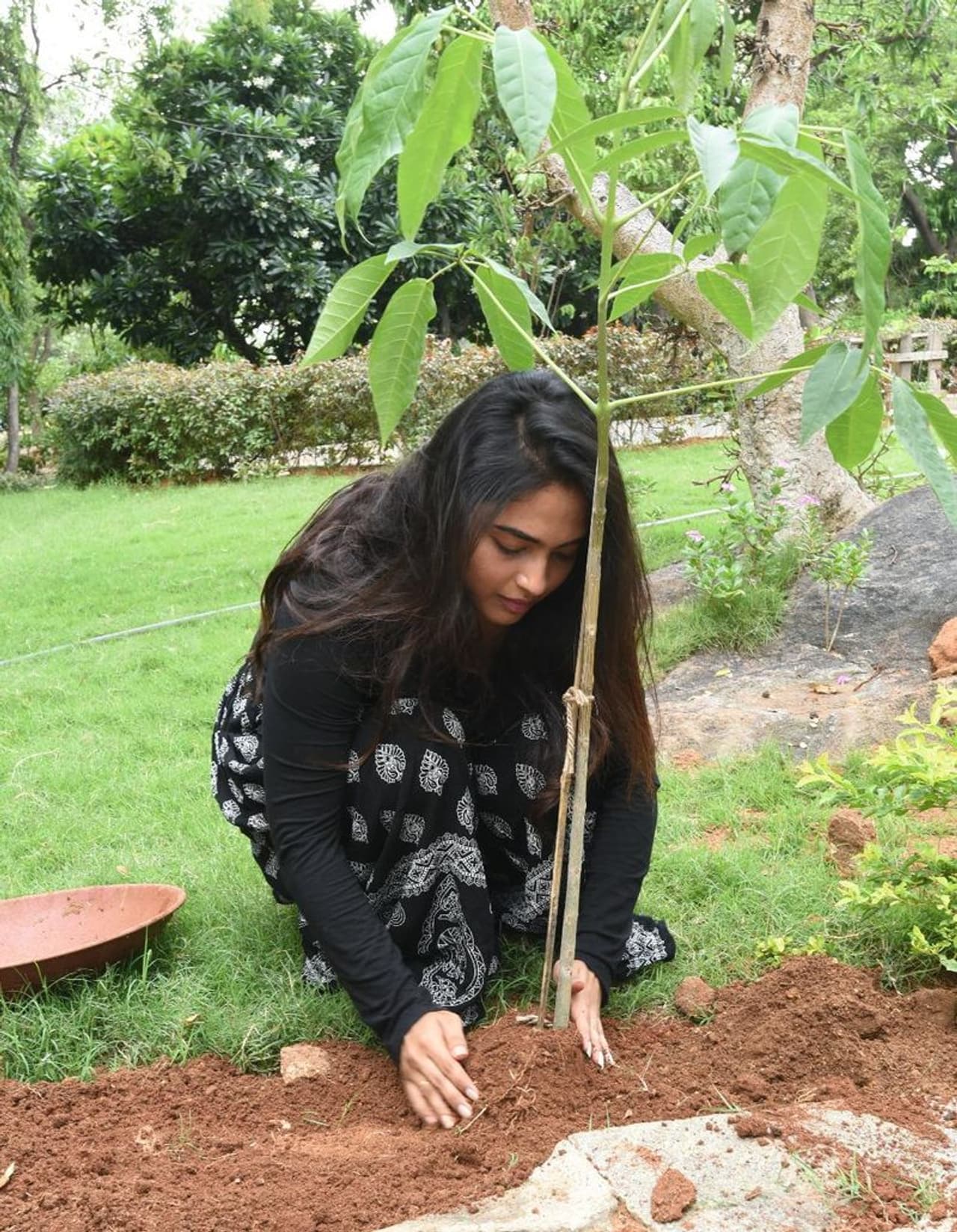 <p>హైదరాబాద్: టీఆర్ఎస్ రాజ్యసభ సభ్యులు జోగినిపల్లి సంతోష్ కుమార్ ప్రారంభించిన గ్రీన్ ఇండియా ఛాలెంజ్ సక్సెస్ ఫుల్ గా సాగుతోంది. ఇప్పటికే ప్రముఖ రాజకీయ నాయకులు, సినీ ప్రముఖలు, ఇతర రంగాలకు చెందిన సెలబ్రిటీలు సైతం ఈ ఛాలెంజ్ లో పాల్గొని మొక్కలు నాటారు. ఇలా రెండు విడతల్లో మంచి జోష్ తో సాగింది ఈ గ్రీన్ ఇండియా ఛాలెంజ్. </p> <p>హైదరాబాద్: టీఆర్ఎస్ రాజ్యసభ సభ్యులు జోగినిపల్లి సంతోష్ కుమార్ ప్రారంభించిన గ్రీన్ ఇండియా ఛాలెంజ్ సక్సెస్ ఫుల్ గా సాగుతోంది. ఇప్పటికే ప్రముఖ రాజకీయ నాయకులు, సినీ ప్రముఖలు, ఇతర రంగాలకు చెందిన సెలబ్రిటీలు సైతం ఈ ఛాలెంజ్ లో పాల్గొని మొక్కలు నాటారు. ఇలా రెండు విడతల్లో మంచి జోష్ తో సాగింది ఈ గ్రీన్ ఇండియా ఛాలెంజ్. </p>