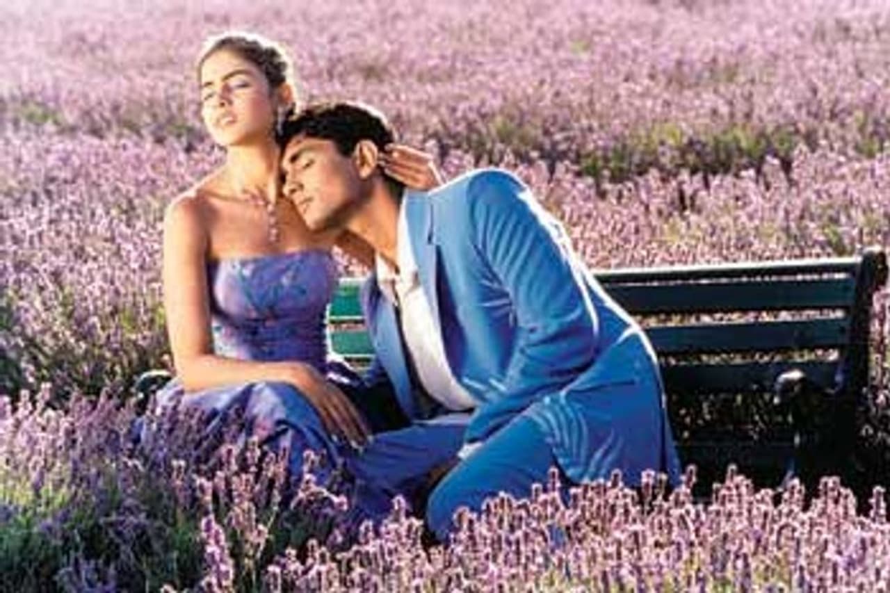 <p>15 வயதில் முதல் படமாக பிரமாண்ட இயக்குனர் ஷங்கர் பாய்ஸ் படத்தில் அறிமுகம் ஆனார் 2003இல் வெளியானது&nbsp;</p>