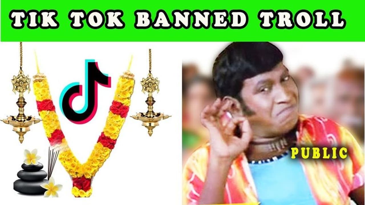 <p>Tik Tok Banned Memes</p>