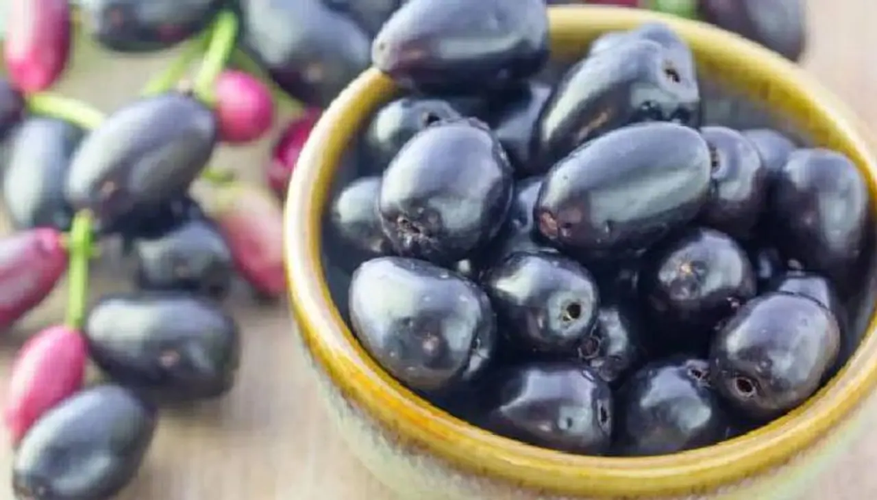 jamun fruit