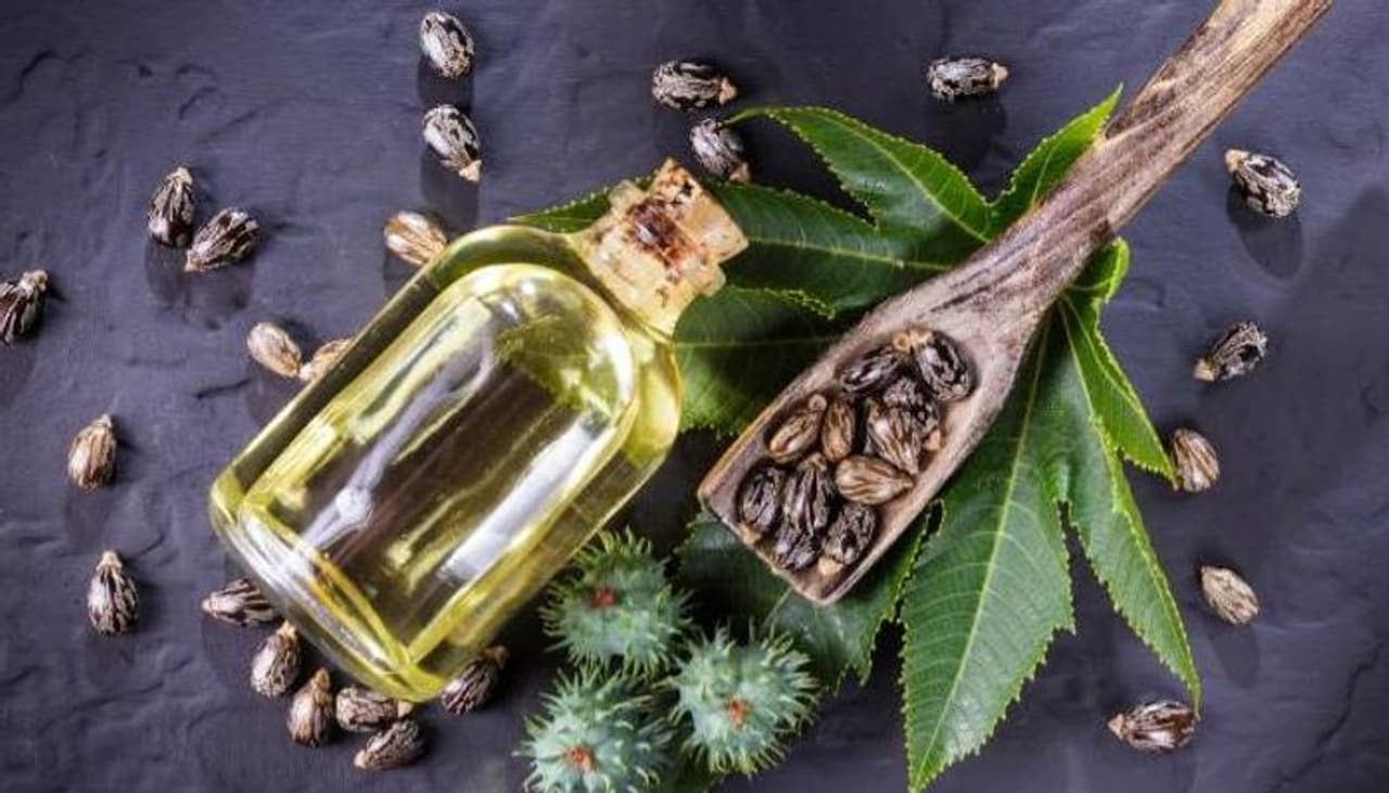 <p>ಒಣ ನೆತ್ತಿ, ಕೂದಲು ತೆಳುವಾಗುವುದು, ಸ್ಪ್ಲಿಟ್ ಎಂಡ್ಸ್ ಮತ್ತು ಕೂದಲು ಉದುರುವಿಕೆಗೆ ಕ್ಯಾಸ್ಟರ್ ಆಯಿಲ್ ಅತ್ಯಂತ ಪರಿಣಾಮಕಾರಿ ಮನೆಮದ್ದು. ಅದರ ಉರಿಯೂತ ನಿವಾರಕ ಮತ್ತು ಬ್ಯಾಕ್ಟೀರಿಯಾ ವಿರೋಧಿ ಗುಣಲಕ್ಷಣಗಳಿಂದಾಗಿ, ಇದು ಅನೇಕ ಸೌಂದರ್ಯವರ್ಧಕಗಳು ಮತ್ತು ಸೌಂದರ್ಯ ಉತ್ಪನ್ನಗಳಲ್ಲಿ ಸಾಮಾನ್ಯ ಘಟಕಾಂಶವಾಗಿದೆ.</p> <p>ಒಣ ನೆತ್ತಿ, ಕೂದಲು ತೆಳುವಾಗುವುದು, ಸ್ಪ್ಲಿಟ್ ಎಂಡ್ಸ್ ಮತ್ತು ಕೂದಲು ಉದುರುವಿಕೆಗೆ ಕ್ಯಾಸ್ಟರ್ ಆಯಿಲ್ ಅತ್ಯಂತ ಪರಿಣಾಮಕಾರಿ ಮನೆಮದ್ದು. ಅದರ ಉರಿಯೂತ ನಿವಾರಕ ಮತ್ತು ಬ್ಯಾಕ್ಟೀರಿಯಾ ವಿರೋಧಿ ಗುಣಲಕ್ಷಣಗಳಿಂದಾಗಿ, ಇದು ಅನೇಕ ಸೌಂದರ್ಯವರ್ಧಕಗಳು ಮತ್ತು ಸೌಂದರ್ಯ ಉತ್ಪನ್ನಗಳಲ್ಲಿ ಸಾಮಾನ್ಯ ಘಟಕಾಂಶವಾಗಿದೆ.</p>