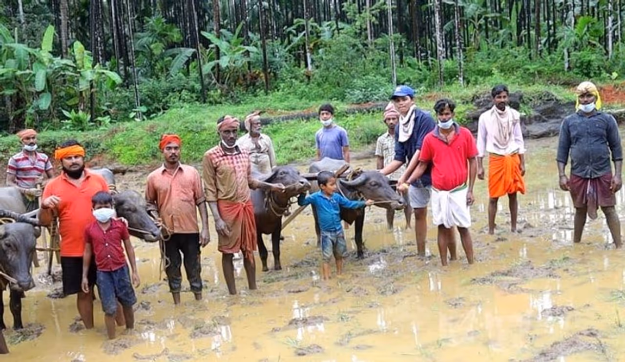 <p>ಅವರೆಲ್ಲಾ ಹಳ್ಳಿಯಿಂದ ನಗರಕ್ಕೆ ಬಂದು ಉದ್ಯೋಗ ಮಾಡಿಕೊಂಡು ಬದುಕು ಕಟ್ಟಿಕೊಂಡಿದ್ದವರು. ಇನ್ನು ಕೆಲವರು ಸ್ವಂತ ಉದ್ಯೋಗದ ಹೆಸರಲ್ಲಿ ಜೀವನ ಸಾಗಿಸ್ತಿದ್ದ ಯುವಕರು. ಈಗ ಎಲ್ಲರೂ ಕೃಷಿಯಲ್ಲಿ ತೊಡಗಿದ್ದಾರೆ</p> <p>ಅವರೆಲ್ಲಾ ಹಳ್ಳಿಯಿಂದ ನಗರಕ್ಕೆ ಬಂದು ಉದ್ಯೋಗ ಮಾಡಿಕೊಂಡು ಬದುಕು ಕಟ್ಟಿಕೊಂಡಿದ್ದವರು. ಇನ್ನು ಕೆಲವರು ಸ್ವಂತ ಉದ್ಯೋಗದ ಹೆಸರಲ್ಲಿ ಜೀವನ ಸಾಗಿಸ್ತಿದ್ದ ಯುವಕರು. ಈಗ ಎಲ್ಲರೂ ಕೃಷಿಯಲ್ಲಿ ತೊಡಗಿದ್ದಾರೆ</p>