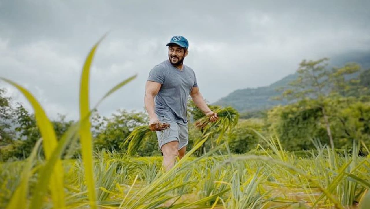 <p>ಲಾಕ್ಡೌನ್ ಸಮಯದಲ್ಲಿ ಸಲ್ಮಾನ್ ತಮ್ಮ ಪನ್ವೆಲ್ ಫಾರ್ಮ್ ಹೌಸ್ನಲ್ಲಿ 3 ತಿಂಗಳಿಂದ ಇದಾರೆ. ಅವರು ಅಲ್ಲಿ ಇರುವಾಗ ಎರಡು ಹಾಡುಗಳ ಶೂಟಿಂಗ್ ಮುಗಿಸಿದ್ದಾರೆ. ಇತ್ತೀಚೆಗೆ ತಮ್ಮ ತೋಟದಮನೆಯಲ್ಲಿ ಕೃಷಿ ಮಾಡುತ್ತಿರುವ ಫೋಟೋ ಇನ್ಸ್ಟಾಗ್ರಾಮ್ನಲ್ಲಿ ಹಂಚಿಕೊಂಡಿದ್ದರು ಸಲ್ಲು ಬಾಯ್. </p> <p>ಲಾಕ್ಡೌನ್ ಸಮಯದಲ್ಲಿ ಸಲ್ಮಾನ್ ತಮ್ಮ ಪನ್ವೆಲ್ ಫಾರ್ಮ್ ಹೌಸ್ನಲ್ಲಿ 3 ತಿಂಗಳಿಂದ ಇದಾರೆ. ಅವರು ಅಲ್ಲಿ ಇರುವಾಗ ಎರಡು ಹಾಡುಗಳ ಶೂಟಿಂಗ್ ಮುಗಿಸಿದ್ದಾರೆ. ಇತ್ತೀಚೆಗೆ ತಮ್ಮ ತೋಟದಮನೆಯಲ್ಲಿ ಕೃಷಿ ಮಾಡುತ್ತಿರುವ ಫೋಟೋ ಇನ್ಸ್ಟಾಗ್ರಾಮ್ನಲ್ಲಿ ಹಂಚಿಕೊಂಡಿದ್ದರು ಸಲ್ಲು ಬಾಯ್. </p>