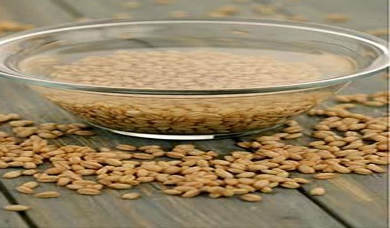 <p>ಬಿಯರ್ ತಯಾರಿಸಲು, ಮೊದಲು ಗೋಧಿಯನ್ನು 10 ರಿಂದ 12 ಗಂಟೆಗಳ ಕಾಲ ನೀರಿನಲ್ಲಿ ಚೆನ್ನಾಗಿ ನೆನೆಸಿ.</p>