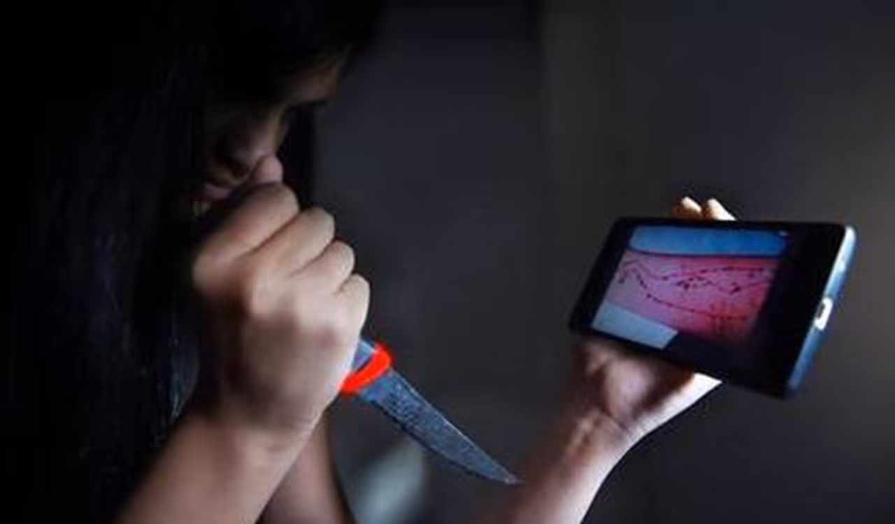 <p>2016ರಲ್ಲಿ ರಷ್ಯಾದಿಂದ ಆರಮಭವಾದ ಈ ಆಟ ನೋಡ ನೋಡುತ್ತಿದ್ದಂತೆಯೇ ಅನೇಕ ರಾಷ್ಟ್ರಗಳಲ್ಲಿ ಹೆಜ್ಜೆ ಇಟ್ಟಿತ್ತು. ಭಾರತಕ್ಕೂ ಇದು ಪಾದಾರ್ಪಣೆ ಮಾಡಿತ್ತು. ಈ ಆಟದ ಅಂತ್ಯದಲ್ಲಿ ಜನರು ಆತ್ಮಹತ್ಯೆ ಮಾಡಿಕೊಳ್ಳಲೂ ಸಿದ್ಧರಿರುತ್ತಾರೆ. ಅಷಷ್ಟರವರೆಗೆ ಇದು ಪ್ರೇರೇಪಿಸುತ್ತದೆ.</p>