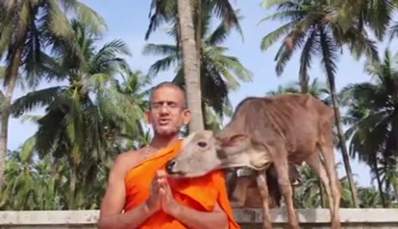 <p>ಪೇಜಾವರ ಶ್ರೀಗಳ ಗೋಪ್ರೀತಿ ಎಲ್ಲರಿಗೂ ಗೊತ್ತಿದೆ. ಇದೇ ಕಾರಣಕ್ಕೆ ಅವರು ನೀಲಾವರದಲ್ಲಿ ಸಾವಿರಾರು ಗೋವುಗಳ ಗೋ ಶಾಲೆಯೊಂದನ್ನು ನಡೆಸುತ್ತಿದ್ದಾರೆ.</p> <p>ಪೇಜಾವರ ಶ್ರೀಗಳ ಗೋಪ್ರೀತಿ ಎಲ್ಲರಿಗೂ ಗೊತ್ತಿದೆ. ಇದೇ ಕಾರಣಕ್ಕೆ ಅವರು ನೀಲಾವರದಲ್ಲಿ ಸಾವಿರಾರು ಗೋವುಗಳ ಗೋ ಶಾಲೆಯೊಂದನ್ನು ನಡೆಸುತ್ತಿದ್ದಾರೆ.</p>