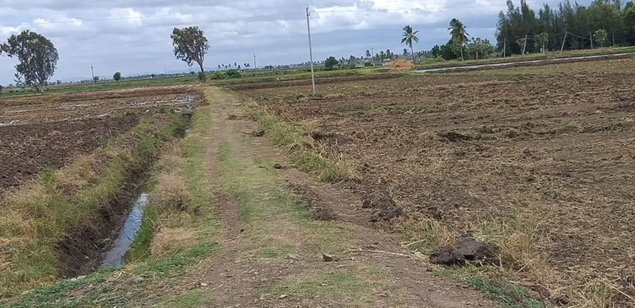 <p>ತುಂಗಭದ್ರಾ ಜಲಾಶಯದ ಕಾಲುವೆ ನೀರು ಮತ್ತು ನದಿಯ ನೀರು ಅವಲಂಬಿತರಾಗಿರುವ ರೈತರು ಬತ್ತ ನಾಟಿ ಮಾಡುವುದಕ್ಕೆ ಮುಂದಾಗಿದ್ದಾರೆ. ಕಳೆದ ಎರಡು ಮೂರು ವರ್ಷಗಳ ಹಿಂದೆ ಜಲಾಶಯ ಭರ್ತಿಯಾಗದ ಕಾರಣ ಒಂದೇ ಅವಧಿ ಬೆಳೆ ಕಂಡಿದ್ದ ರೈತರು ಆತಂಕದಲ್ಲಿದ್ದರು. ಈಗ ಜಲಾಶಯಕ್ಕೆ ದಿನ ನಿತ್ಯ ನೀರು ಹೆಚ್ಚುತ್ತಿದ್ದು, ಈ ಹಿನ್ನೆಲೆಯಲ್ಲಿ ಬತ್ತ ನಾಟಿ ಮಾಡುವದಕ್ಕೆ ಮುಂದಾಗಿದ್ದಾರೆ.</p> <p>ತುಂಗಭದ್ರಾ ಜಲಾಶಯದ ಕಾಲುವೆ ನೀರು ಮತ್ತು ನದಿಯ ನೀರು ಅವಲಂಬಿತರಾಗಿರುವ ರೈತರು ಬತ್ತ ನಾಟಿ ಮಾಡುವುದಕ್ಕೆ ಮುಂದಾಗಿದ್ದಾರೆ. ಕಳೆದ ಎರಡು ಮೂರು ವರ್ಷಗಳ ಹಿಂದೆ ಜಲಾಶಯ ಭರ್ತಿಯಾಗದ ಕಾರಣ ಒಂದೇ ಅವಧಿ ಬೆಳೆ ಕಂಡಿದ್ದ ರೈತರು ಆತಂಕದಲ್ಲಿದ್ದರು. ಈಗ ಜಲಾಶಯಕ್ಕೆ ದಿನ ನಿತ್ಯ ನೀರು ಹೆಚ್ಚುತ್ತಿದ್ದು, ಈ ಹಿನ್ನೆಲೆಯಲ್ಲಿ ಬತ್ತ ನಾಟಿ ಮಾಡುವದಕ್ಕೆ ಮುಂದಾಗಿದ್ದಾರೆ.</p>