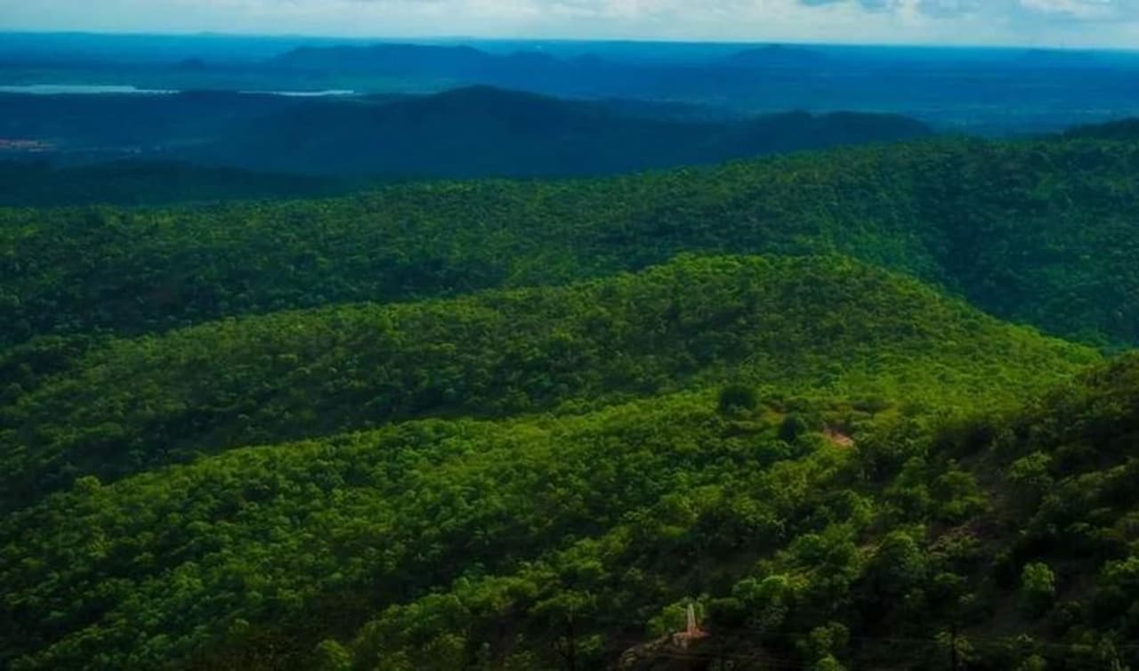 <p>ಗದಗ ಜಿಲ್ಲೆಯ ಮುಂಡರಗಿ ತಾಲೂಕಿನಲ್ಲಿರುವ ಕಪ್ಪತ್ತಗುಡ್ಡ ಅರಣ್ಯ ಪ್ರದೇಶ</p> <p>ಗದಗ ಜಿಲ್ಲೆಯ ಮುಂಡರಗಿ ತಾಲೂಕಿನಲ್ಲಿರುವ ಕಪ್ಪತ್ತಗುಡ್ಡ ಅರಣ್ಯ ಪ್ರದೇಶ</p>