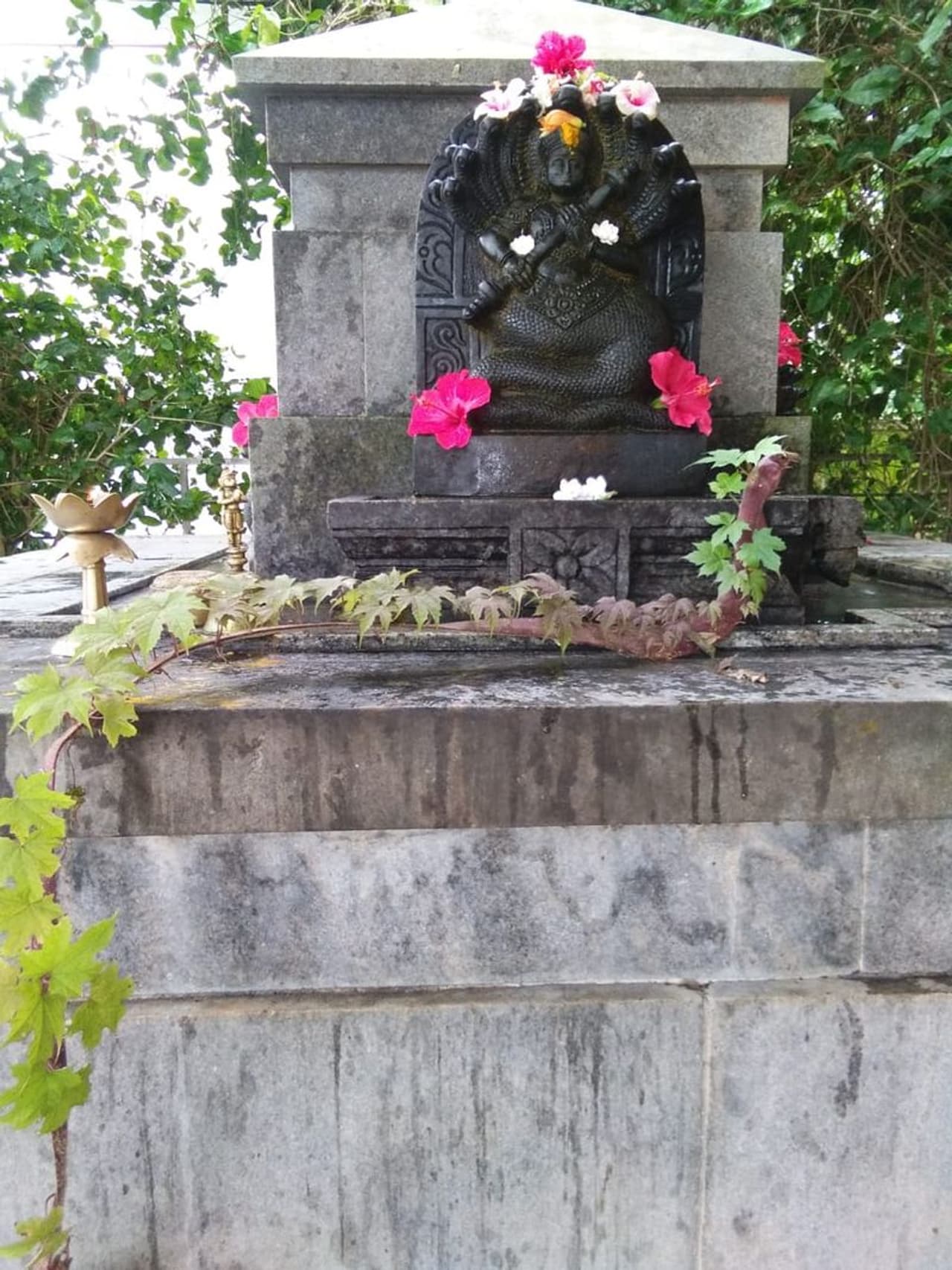 <p>ನಾಗಬನದ ಒಂದು ಬಳ್ಳಿ ನಾಗನ ಹೆಡೆಯಾಗಿ ನಾಗ ಕಲ್ಲಿನ ಸುತ್ತ ಬರುವಂತಹ ದೃಶ್ಯವೊಂದು ಮಂಗಳೂರಿನಲ್ಲಿ ನಡೆದಿದೆ.</p> <p>ನಾಗಬನದ ಒಂದು ಬಳ್ಳಿ ನಾಗನ ಹೆಡೆಯಾಗಿ ನಾಗ ಕಲ್ಲಿನ ಸುತ್ತ ಬರುವಂತಹ ದೃಶ್ಯವೊಂದು ಮಂಗಳೂರಿನಲ್ಲಿ ನಡೆದಿದೆ.</p>