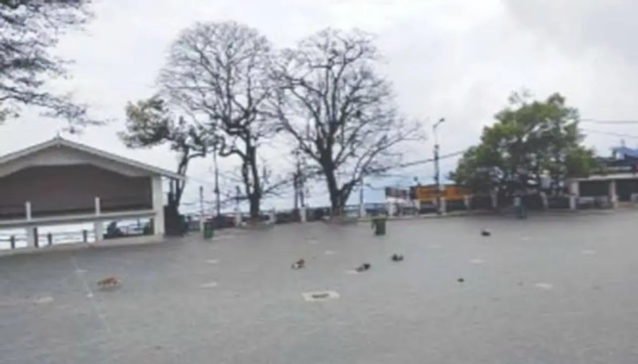 <p>No matter what the season is, many people love to travel during Durga puja. The preparation starts almost three months before. From booking the train tickets to hotel rooms, every preparation is made keeping time in hand.<br /> </p> <p>No matter what the season is, many people love to travel during Durga puja. The preparation starts almost three months before. From booking the train tickets to hotel rooms, every preparation is made keeping time in hand.<br /> </p>