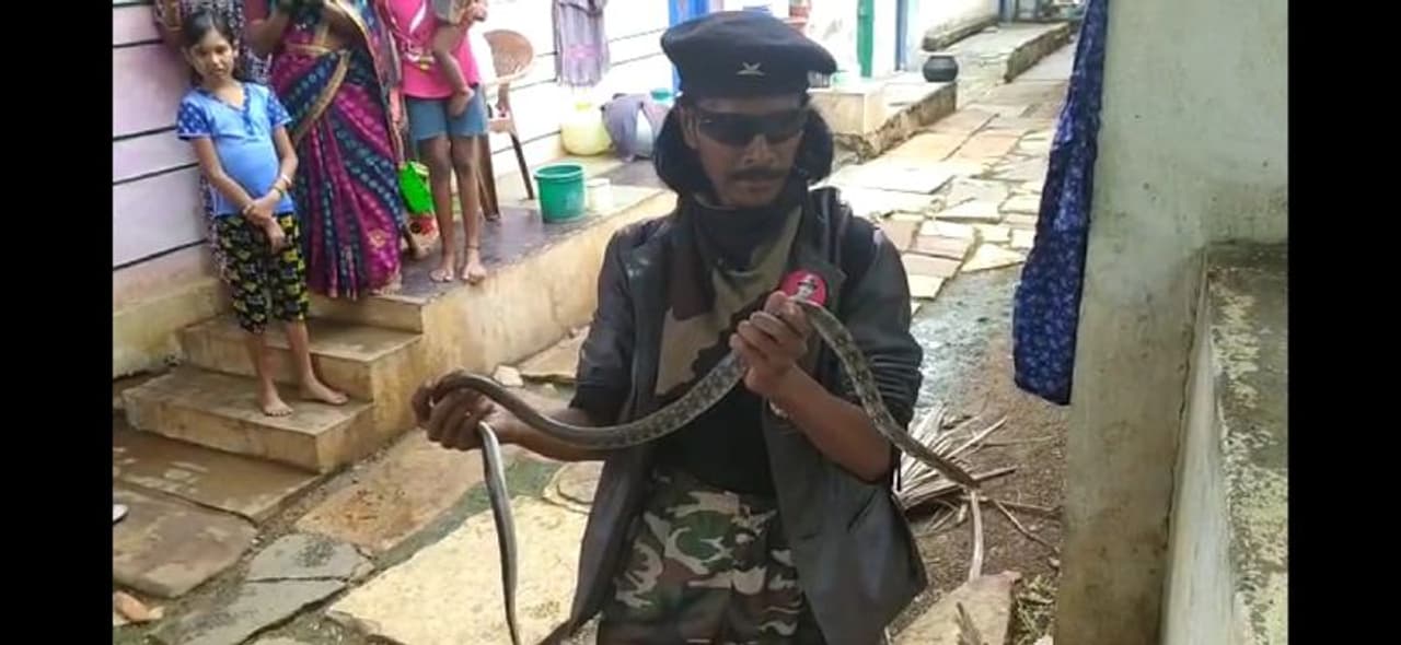 <p>ಹಾವು ಕಚ್ಚಿಸಿಕೊಂಡು ಸಾವು ಗೆದ್ದು ಬಂದ ಡ್ಯಾನಿಯಲ್ ನ್ಯೂಟನ್ರಿಂದ ಮತ್ತೇ ಶುರುವಾಯ್ತು ಉರಗ ರಕ್ಷಣೆ</p> <p>ಹಾವು ಕಚ್ಚಿಸಿಕೊಂಡು ಸಾವು ಗೆದ್ದು ಬಂದ ಡ್ಯಾನಿಯಲ್ ನ್ಯೂಟನ್ರಿಂದ ಮತ್ತೇ ಶುರುವಾಯ್ತು ಉರಗ ರಕ್ಷಣೆ</p>