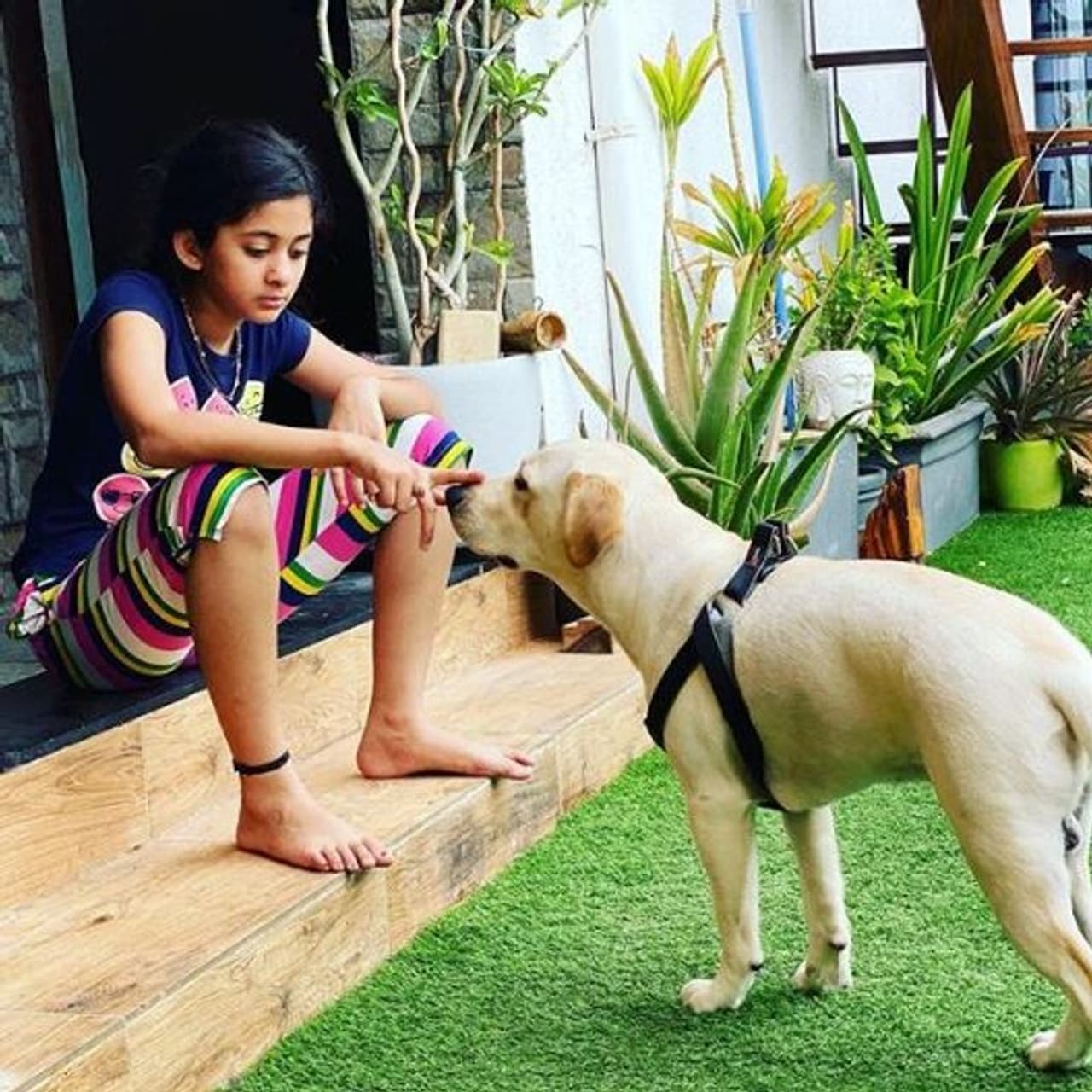 <p>வீடு வாசலிலேயே அமர்ந்து வரவேற்கிறார் அர்ச்சனாவின் மகள் ஜரா வாங்க உள்ளே போகலாம் </p> <p>வீடு வாசலிலேயே அமர்ந்து வரவேற்கிறார் அர்ச்சனாவின் மகள் ஜரா வாங்க உள்ளே போகலாம் </p>