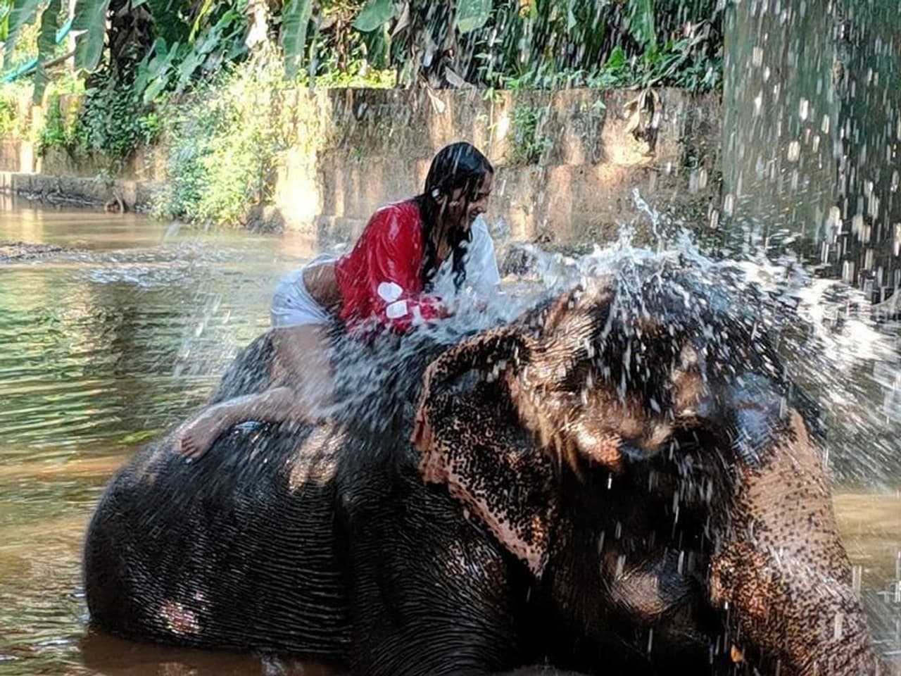 <p>குழந்தை போல் யானையுடன் விளையாடும் சஞ்சனா&nbsp;</p>