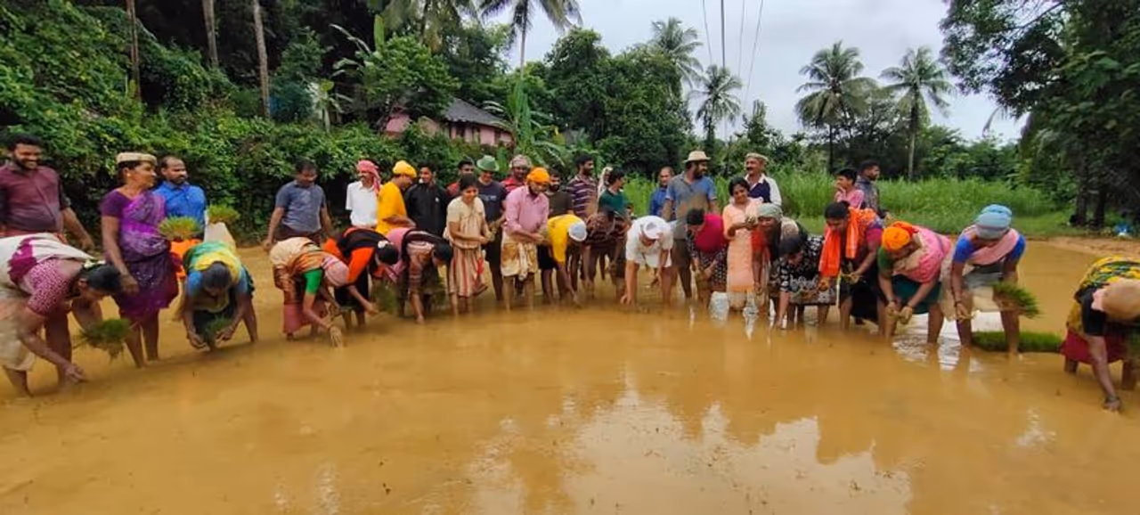 <p>ಹಡಿಲು ಬಿದ್ದ ದೇವಸ್ಥಾನ ವೊಂದರ ಗದ್ದೆಗೆ ಕಾಯಕಲ್ಪ ನೀಡಿ ಭತ್ತದ ಕೃಷಿ ಮಾಡಿ ದೇವಸ್ಥಾನಕ್ಕೆ ನೀಡುವ ಸಂಕಲ್ಪಕ್ಕೆ ನೆಟ್ಲದ ಗ್ರಾಮಸ್ಥರಿಂದ ಇಂದು ಆಗಸ್ಟ್ 2 ರಂದು ಆದಿತ್ಯವಾರ ಹಡಿಲು ಗದ್ದೆಯಲ್ಲಿ ಉಳುಮೆ ಮಾಡಿ ನೇಜಿ ನೆಟ್ಟು ಚಾಲನೆ ನೀಡಲಾಯಿತು.</p> <p>ಹಡಿಲು ಬಿದ್ದ ದೇವಸ್ಥಾನ ವೊಂದರ ಗದ್ದೆಗೆ ಕಾಯಕಲ್ಪ ನೀಡಿ ಭತ್ತದ ಕೃಷಿ ಮಾಡಿ ದೇವಸ್ಥಾನಕ್ಕೆ ನೀಡುವ ಸಂಕಲ್ಪಕ್ಕೆ ನೆಟ್ಲದ ಗ್ರಾಮಸ್ಥರಿಂದ ಇಂದು ಆಗಸ್ಟ್ 2 ರಂದು ಆದಿತ್ಯವಾರ ಹಡಿಲು ಗದ್ದೆಯಲ್ಲಿ ಉಳುಮೆ ಮಾಡಿ ನೇಜಿ ನೆಟ್ಟು ಚಾಲನೆ ನೀಡಲಾಯಿತು.</p>