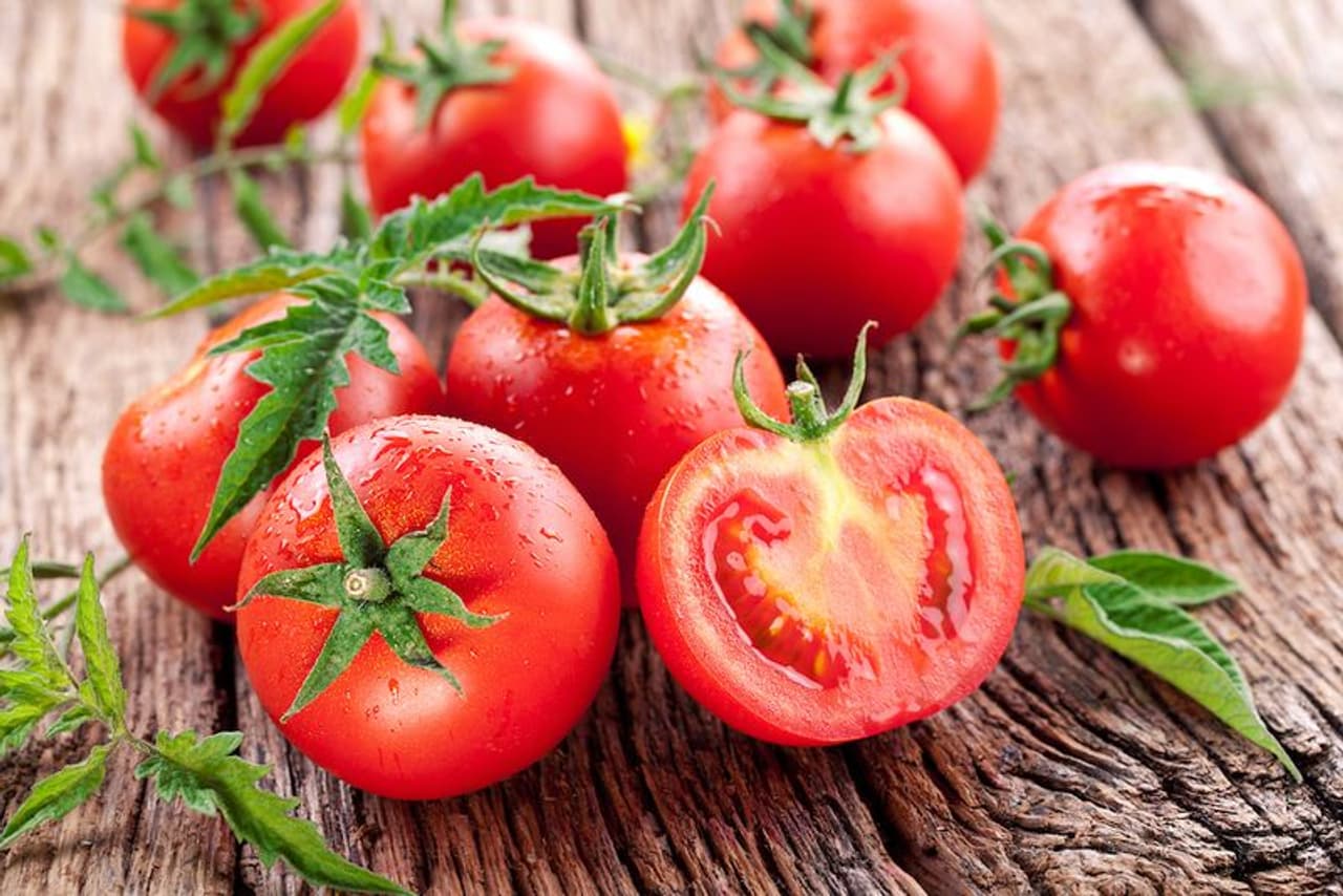 <p>It is a fact that tomatoes have many health benefits. They are a major dietary source of the antioxidant lycopene, which has been linked to many health benefits, including reduced risk of heart disease and cancer.<br />&nbsp;</p>