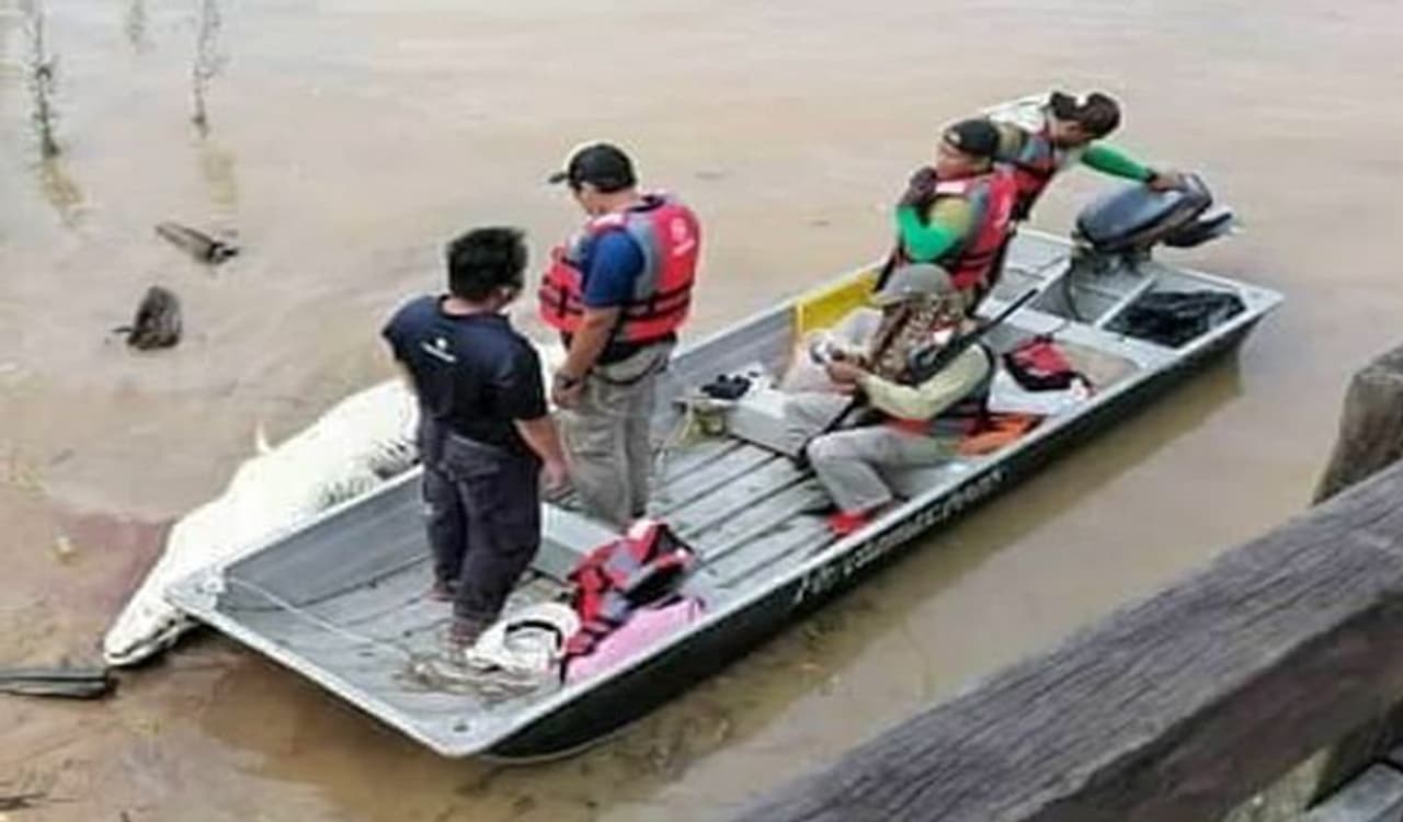 <p>ಈ ಘಟನೆ ನಡೆದದ್ದು ಮಲೇಷ್ಯಾದಲ್ಲಿ. ಇಲ್ಲಿ 14 ವರ್ಷದ ಬಾಲಕನನ್ನು ಮೊಸಳೆಯೊಂದು ಜೀವಂತವಾಗಿ ನುಂಗಿದೆ. ಈ ಮೊಸಳೆ ಹೊಟ್ಟೆಯಿಂದ ಬಾಲಕನ ದೇಹದ ಅನೇಕ ಅಂಗಗಳು ಸಿಕ್ಕಿವೆ.</p> <p>ಈ ಘಟನೆ ನಡೆದದ್ದು ಮಲೇಷ್ಯಾದಲ್ಲಿ. ಇಲ್ಲಿ 14 ವರ್ಷದ ಬಾಲಕನನ್ನು ಮೊಸಳೆಯೊಂದು ಜೀವಂತವಾಗಿ ನುಂಗಿದೆ. ಈ ಮೊಸಳೆ ಹೊಟ್ಟೆಯಿಂದ ಬಾಲಕನ ದೇಹದ ಅನೇಕ ಅಂಗಗಳು ಸಿಕ್ಕಿವೆ.</p>