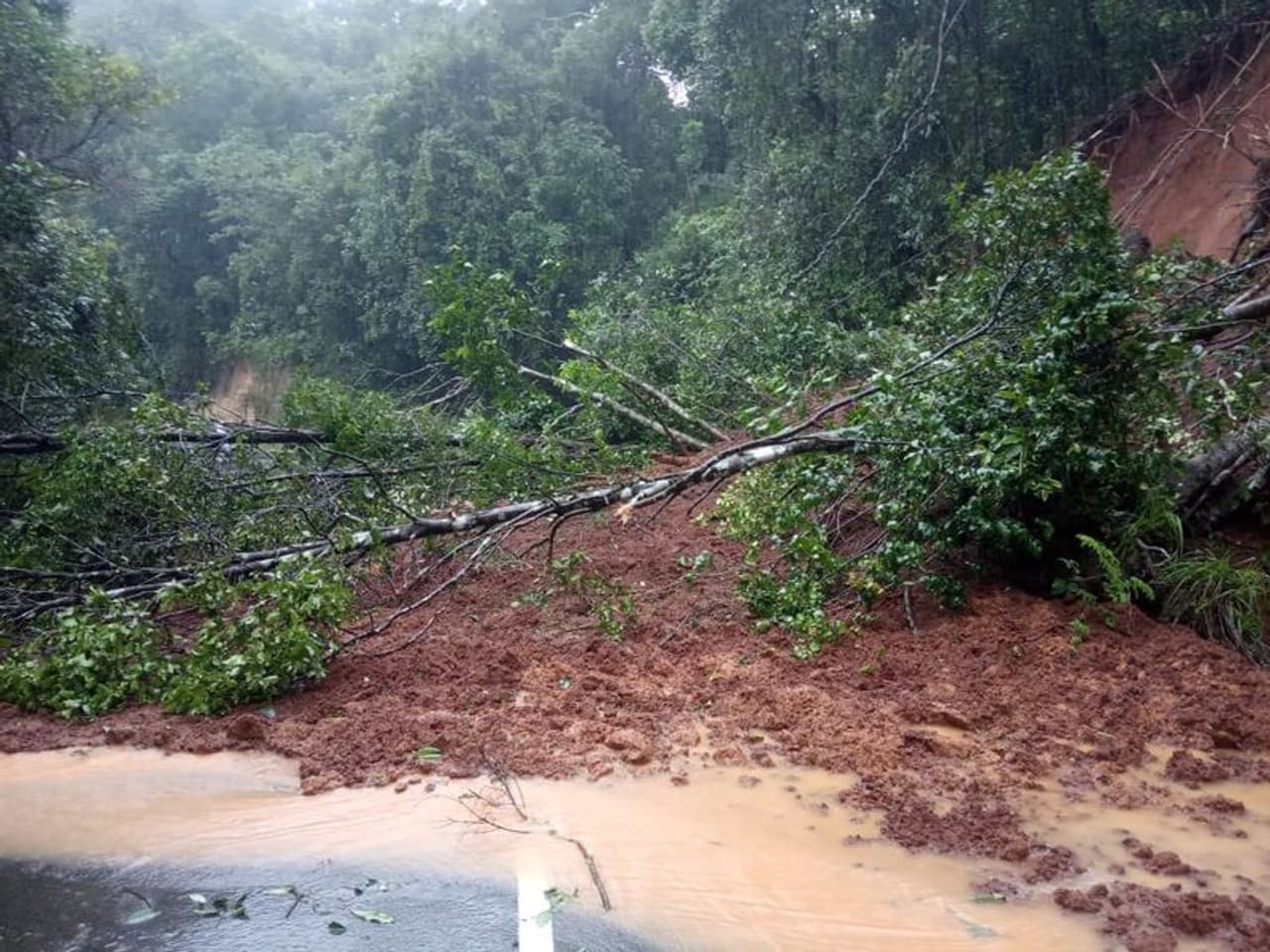 <p>Heavy rain was witnessed across several parts of Karnataka on Wednesday, throwing life out of gear in districts in southern, northern, and coastal regions.<br /> </p> <p>Heavy rain was witnessed across several parts of Karnataka on Wednesday, throwing life out of gear in districts in southern, northern, and coastal regions.<br /> </p>