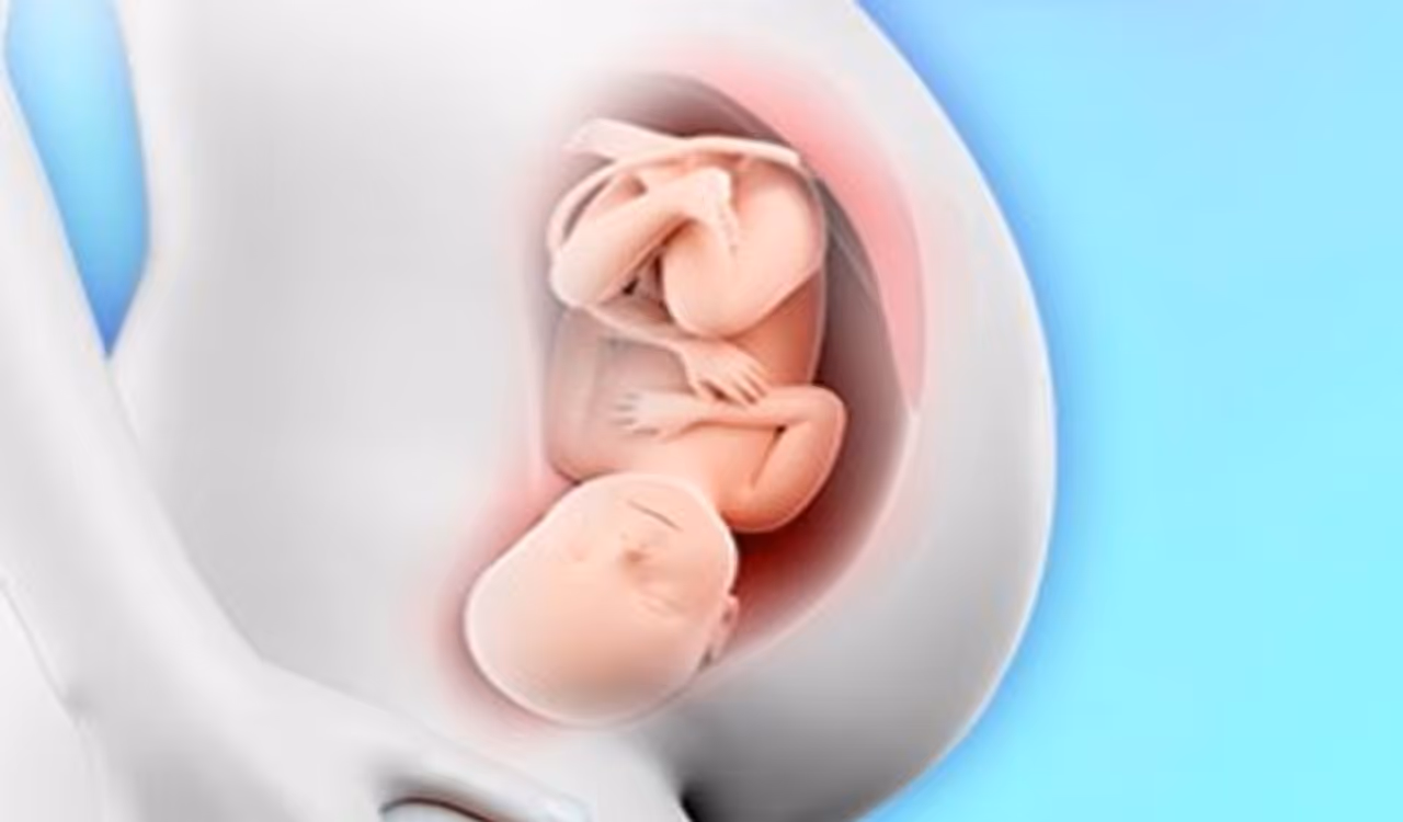 <p>ಹುಟ್ಟಲಿರುವ ಮಗು ನಿಯಮಿತವಾಗಿ ಚಲಿಸಲು ಪ್ರಾರಂಭಿಸುವುದು ಯಾವಾಗ? ಚಲನೆಯ ಕಡಿಮೆಯಾದರೆ ಅಪಾಯವೇನು? ಎಲ್ಲವೂ ತಿಳಿದಿರಬೇಕು. ಈ ಲೇಖನವು ಗರ್ಭದಲ್ಲಿರುವ ಮಗುವಿನ ಚಲನೆಯ ಬಗ್ಗೆ ಎಲ್ಲಾ ಪ್ರಶ್ನೆಗಳಿಗೆ ಉತ್ತರಿಸುವ ಪ್ರಯತ್ನವಾಗಿದೆ.</p>