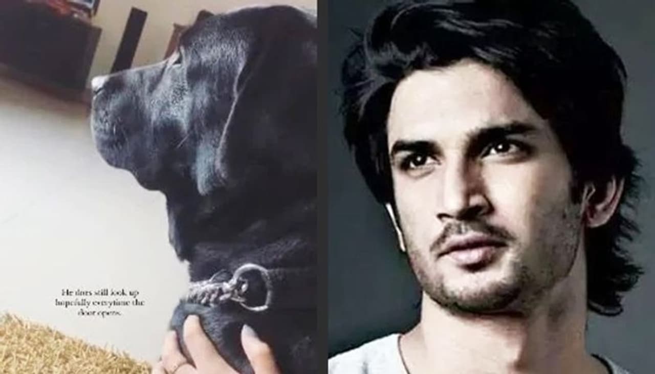 <p>After the demise of actor Sushant Singh Rajput, many photos and videos of his dog Fudge have gone viral on social media</p>